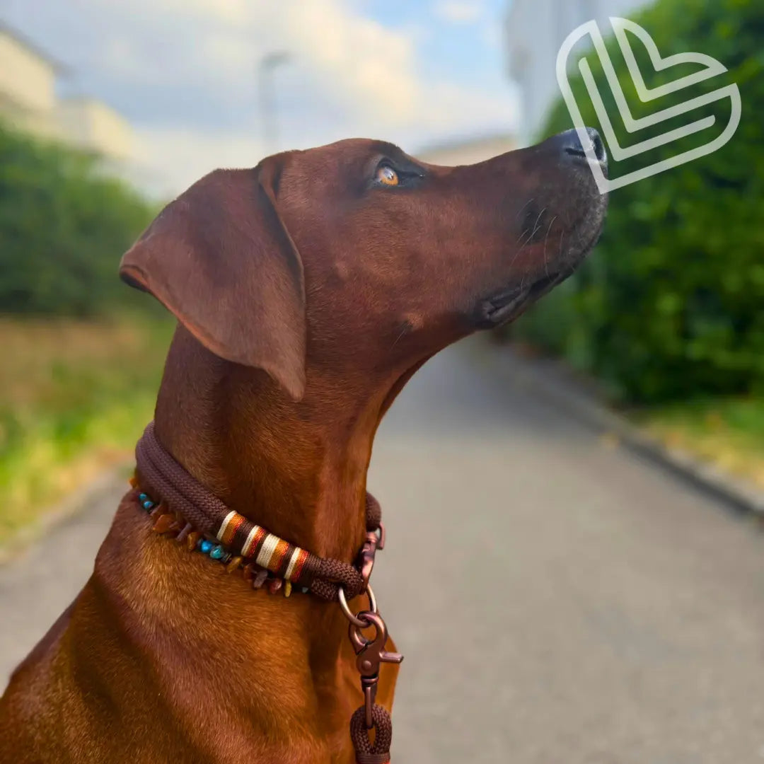 Tauhalsband 'Terra Luz' Exceptional - Manufaktur mit Herz