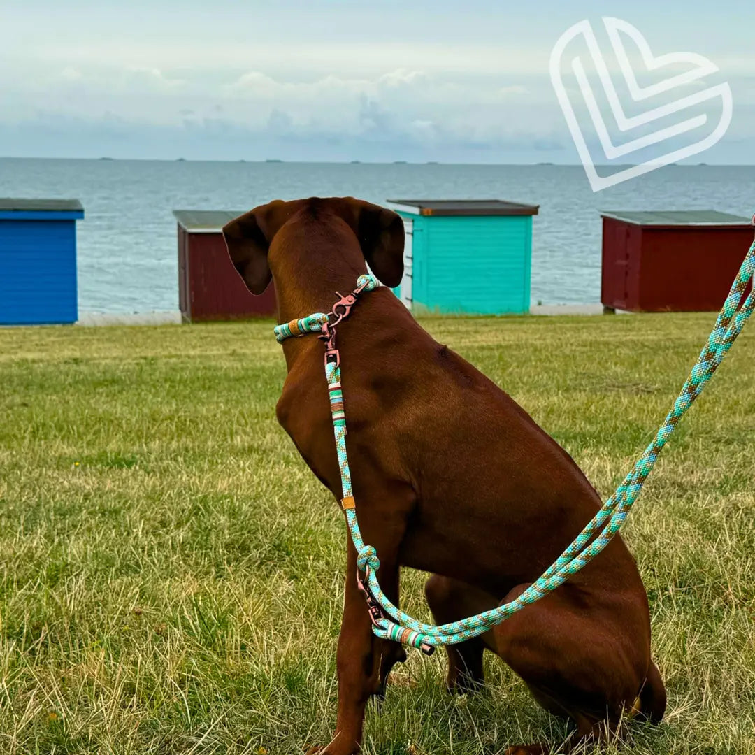 Tauleine 'Alma de Ibiza' Exceptional - Manufaktur mit Herz