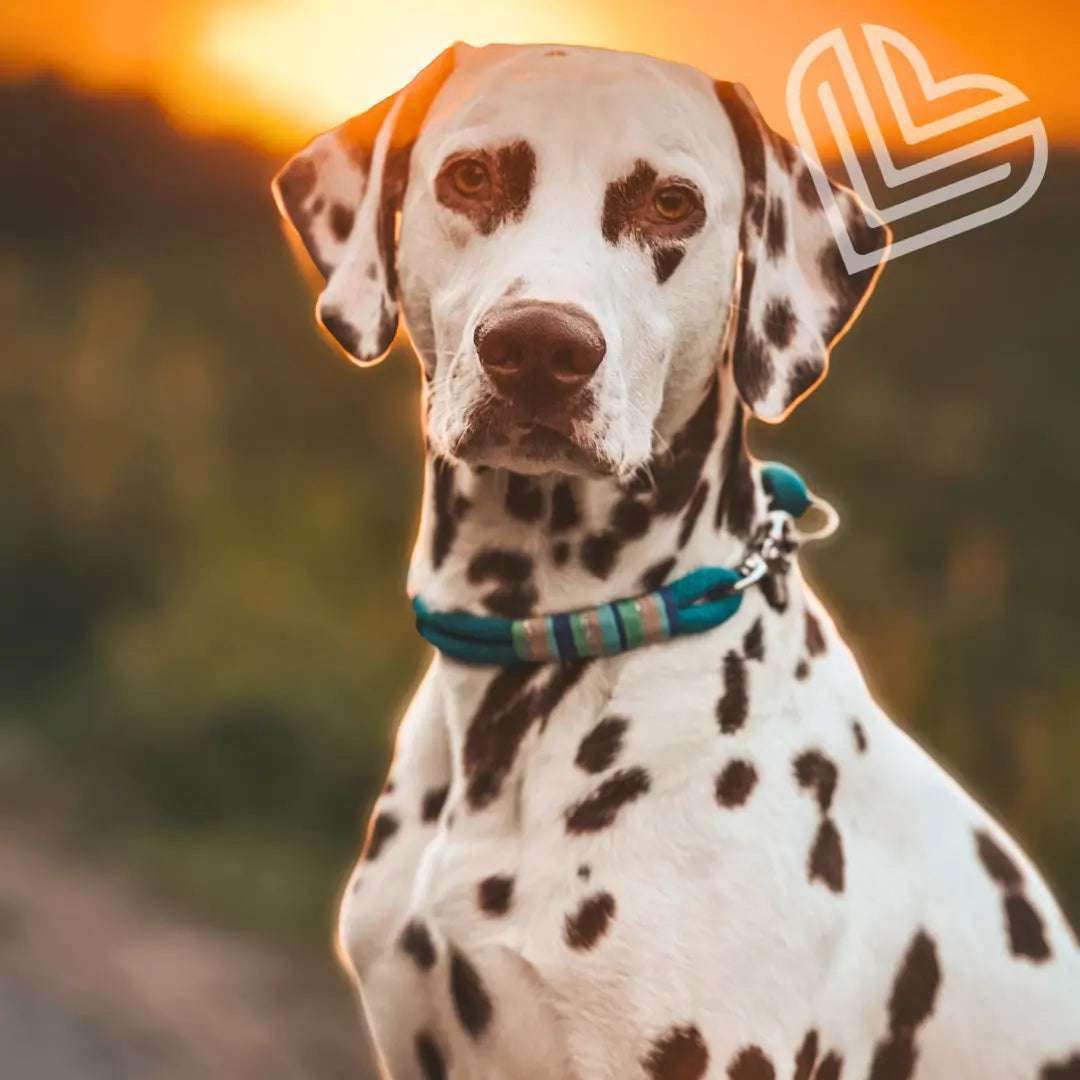 Tauhalsband 'Ibiza Breeze' Exceptional - Manufaktur mit Herz