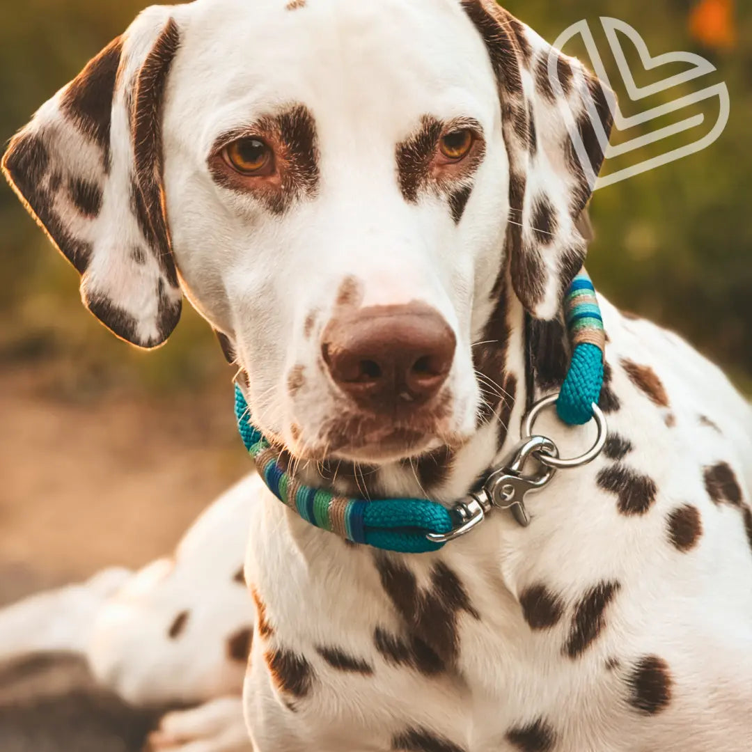 Tauhalsband 'Ibiza Breeze' Exceptional - Manufaktur mit Herz