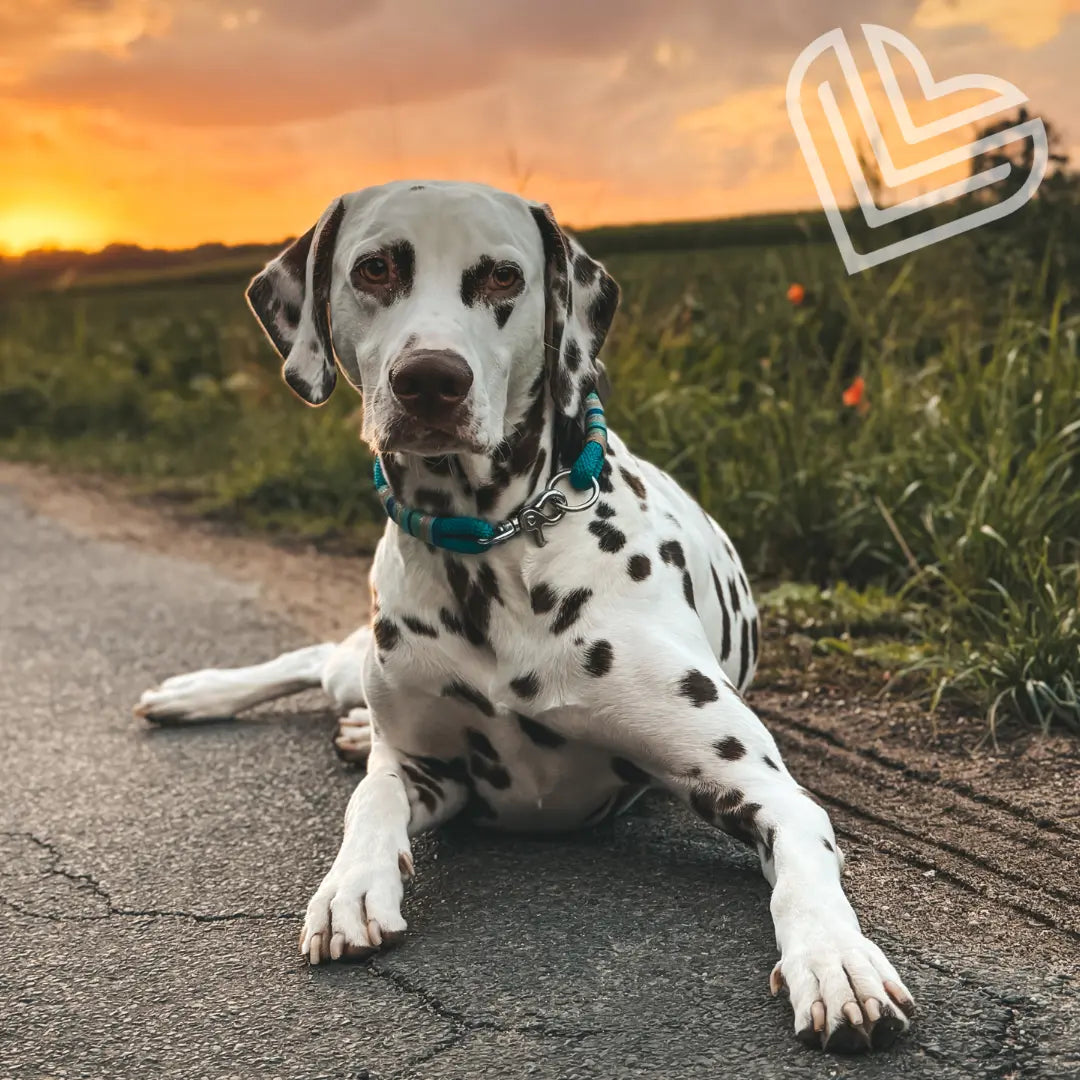 Tauhalsband 'Ibiza Breeze' Exceptional - Manufaktur mit Herz