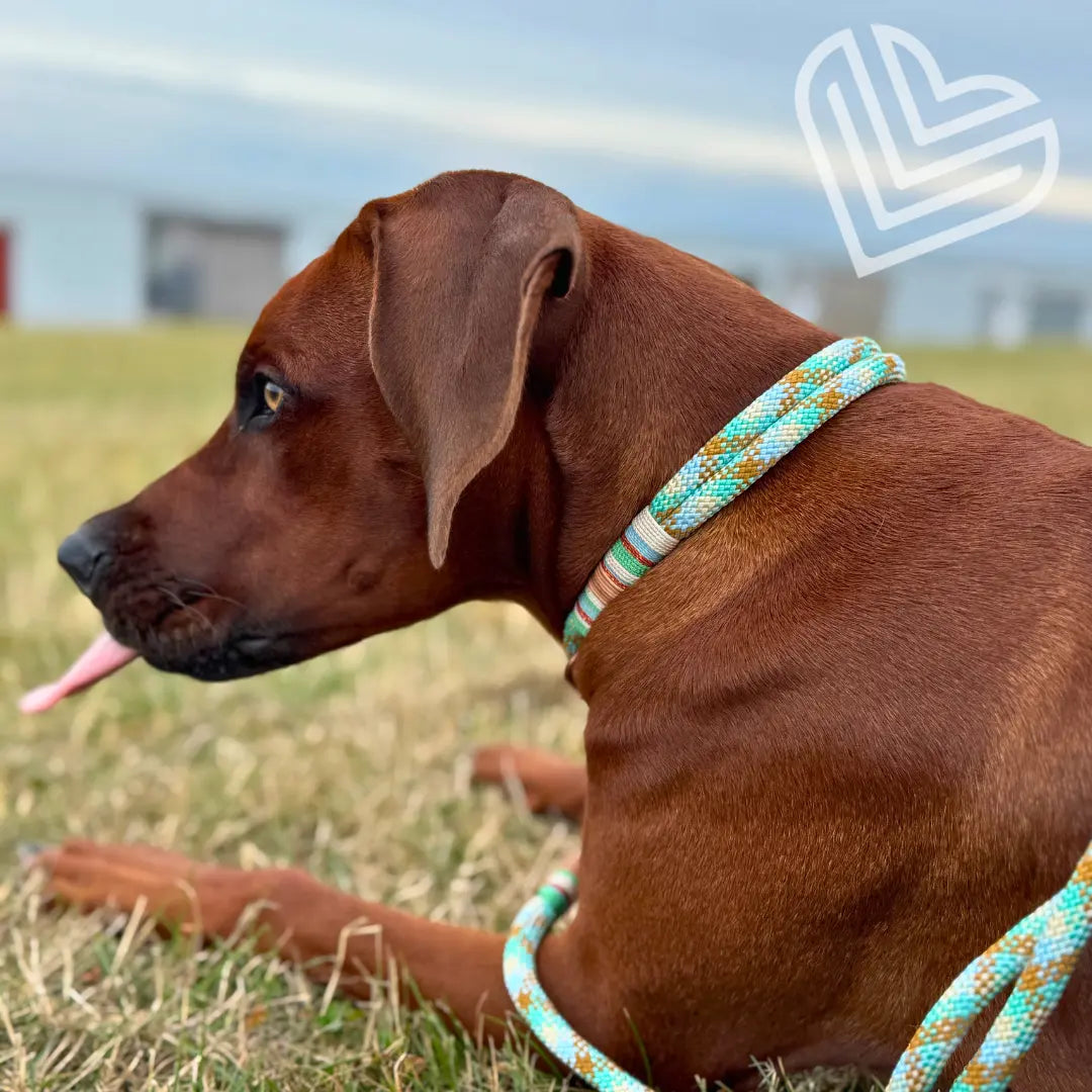 Tauleine 'Alma de Ibiza' Exceptional - Manufaktur mit Herz