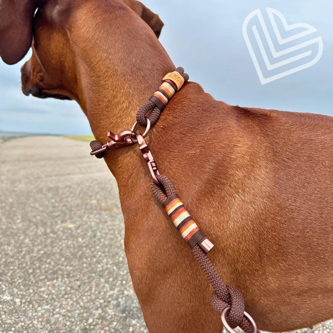 Tauhalsband 'Terra Luz' Exceptional - Manufaktur mit Herz