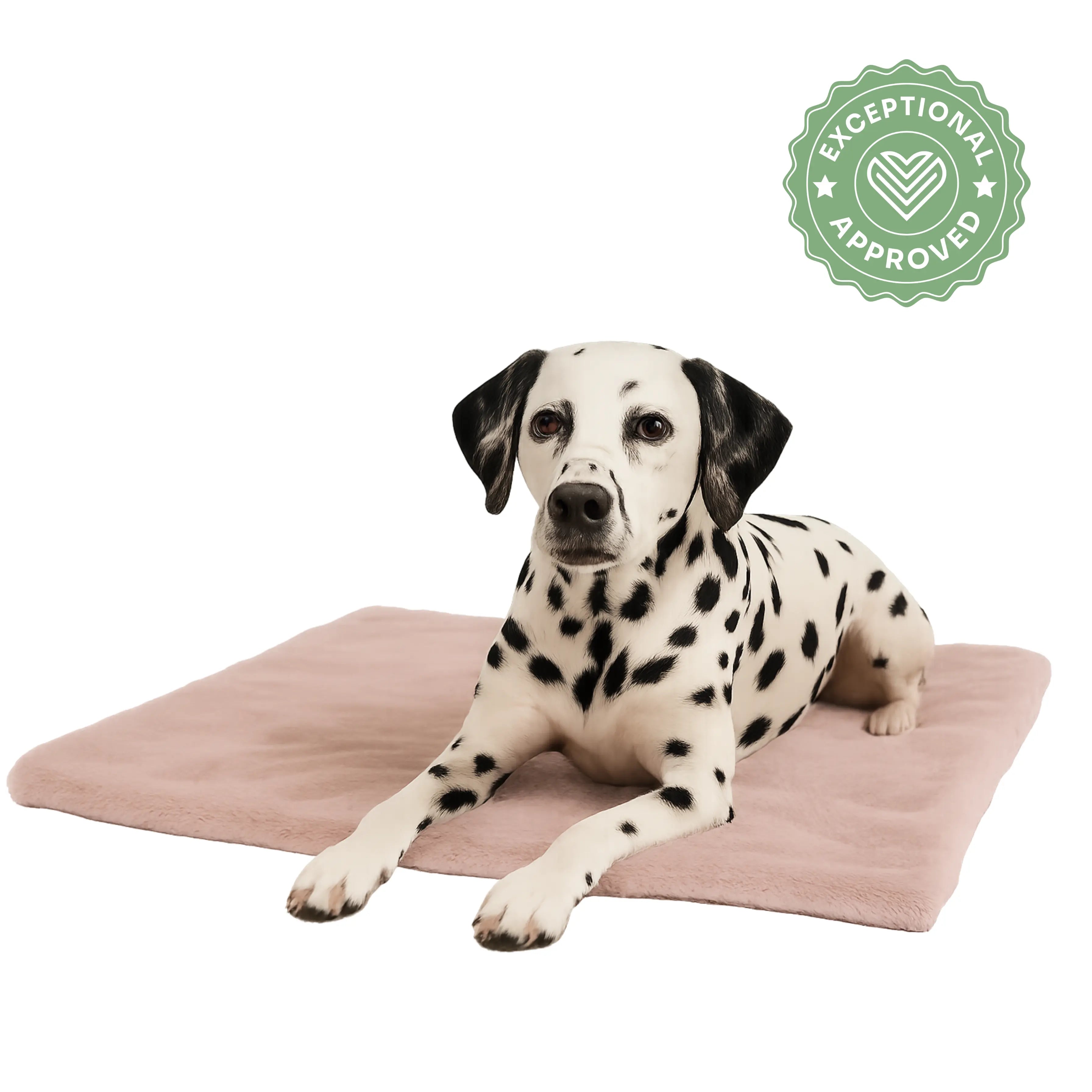 Hundedecke Altrosa Cindarella Exceptional - Manufaktur mit Herz