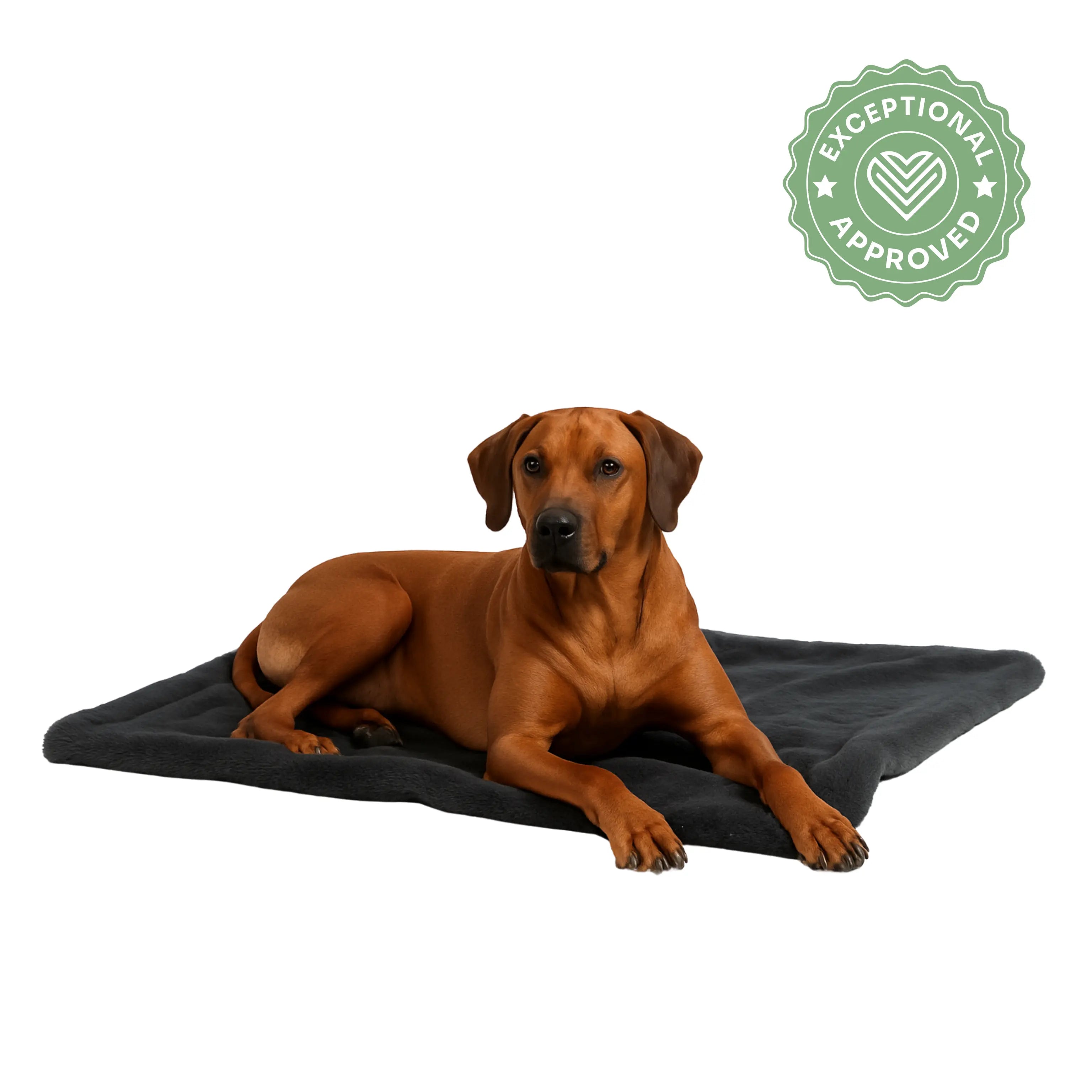 Hundedecke Dark Grey Exceptional - Manufaktur mit Herz
