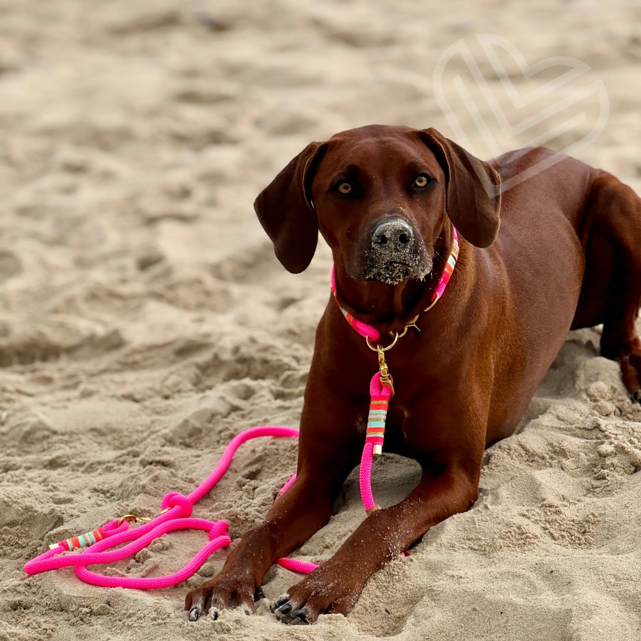 Tauleine 'Corazón Libre' Exceptional - Manufaktur mit Herz