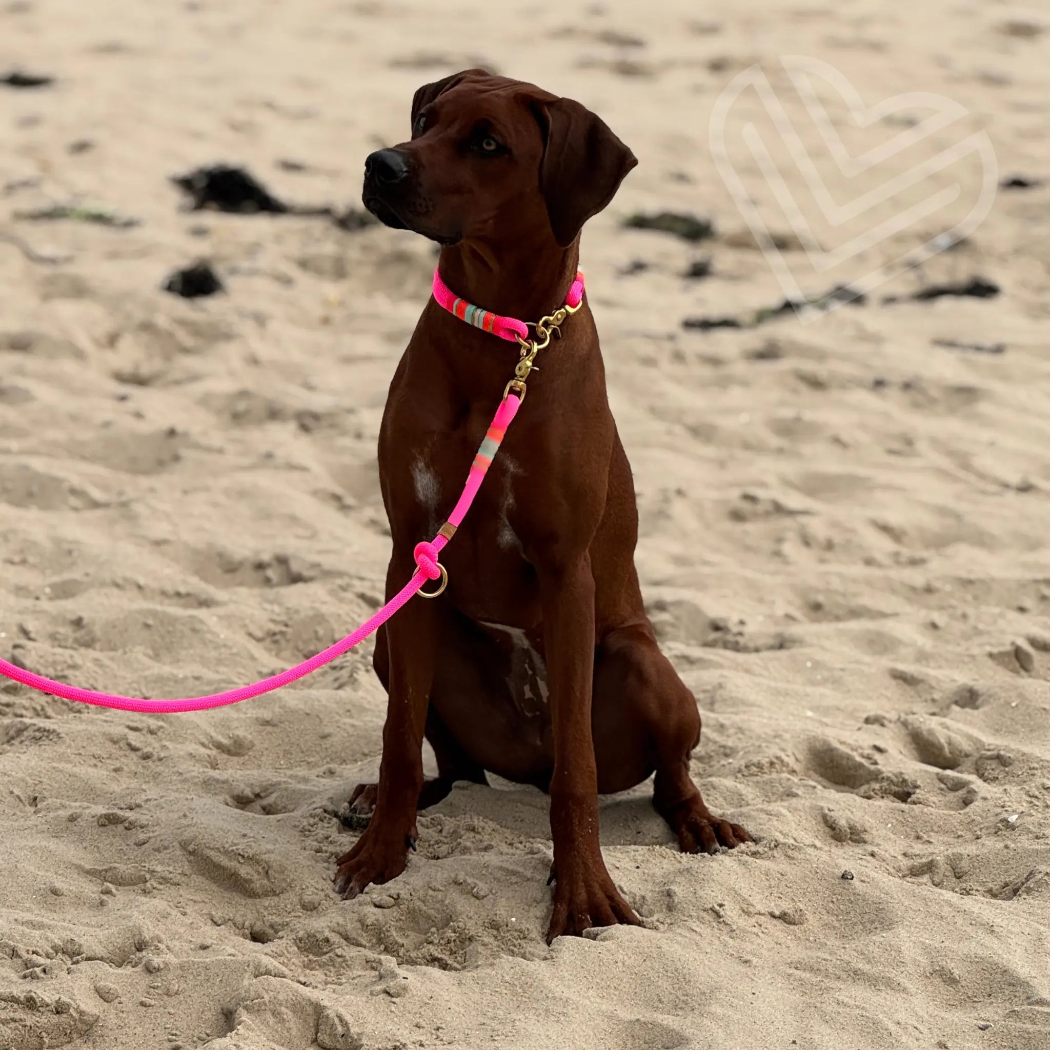 Tauleine 'Corazón Libre' Exceptional - Manufaktur mit Herz