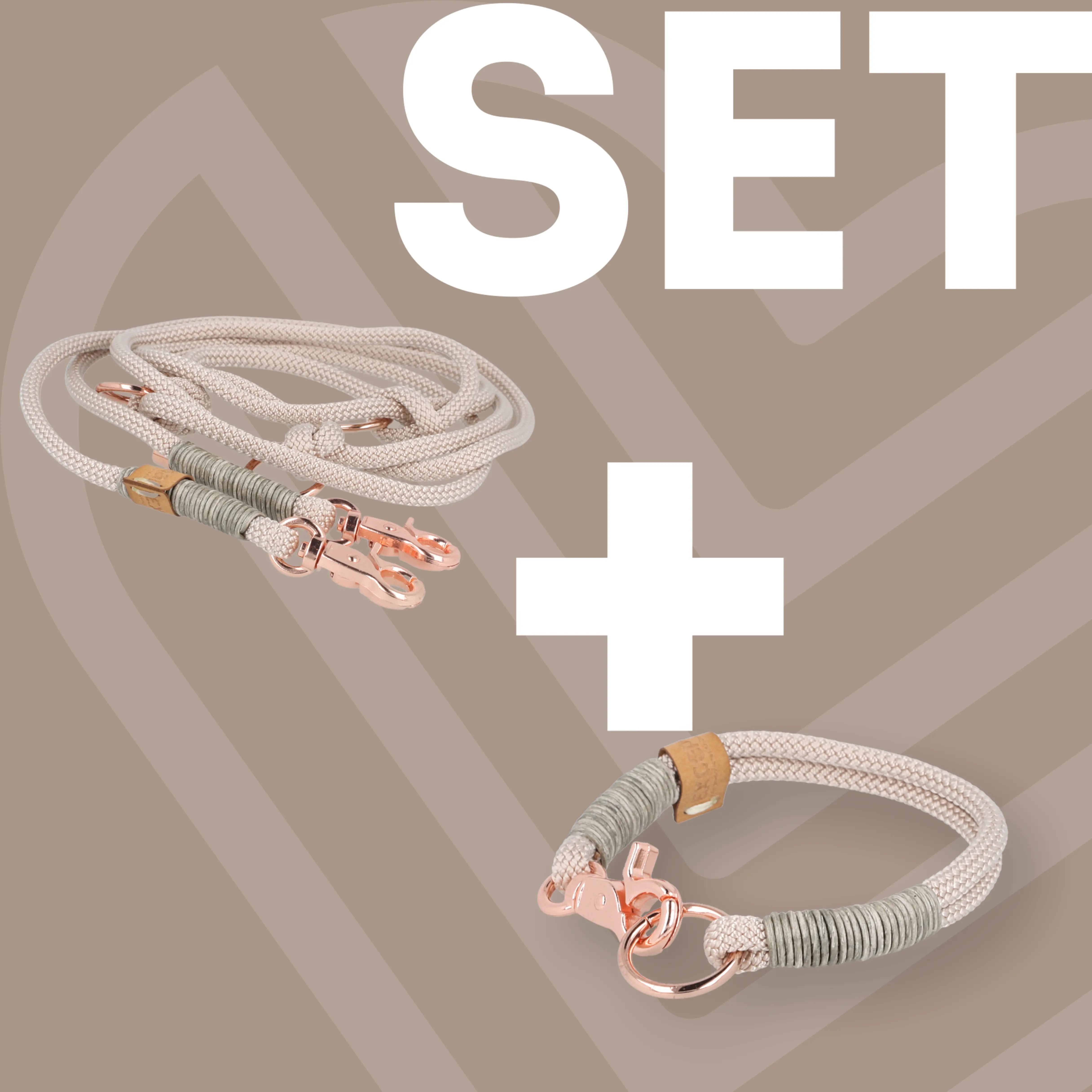 Set small | Tauhalsband und Leine 'Champagne Glow' Exceptional - Manufaktur mit Herz