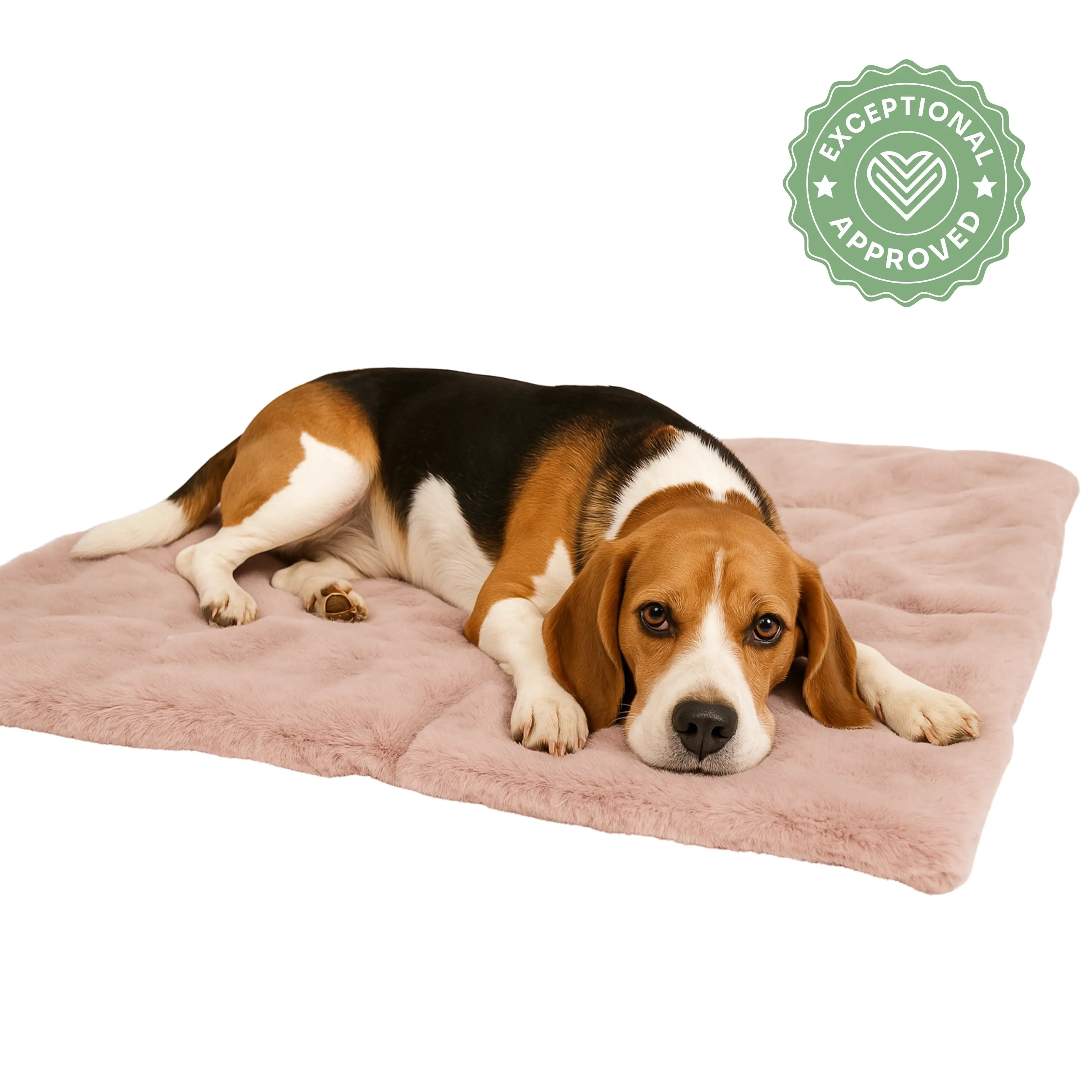 Hundedecke Altrosa Cindarella Exceptional - Manufaktur mit Herz