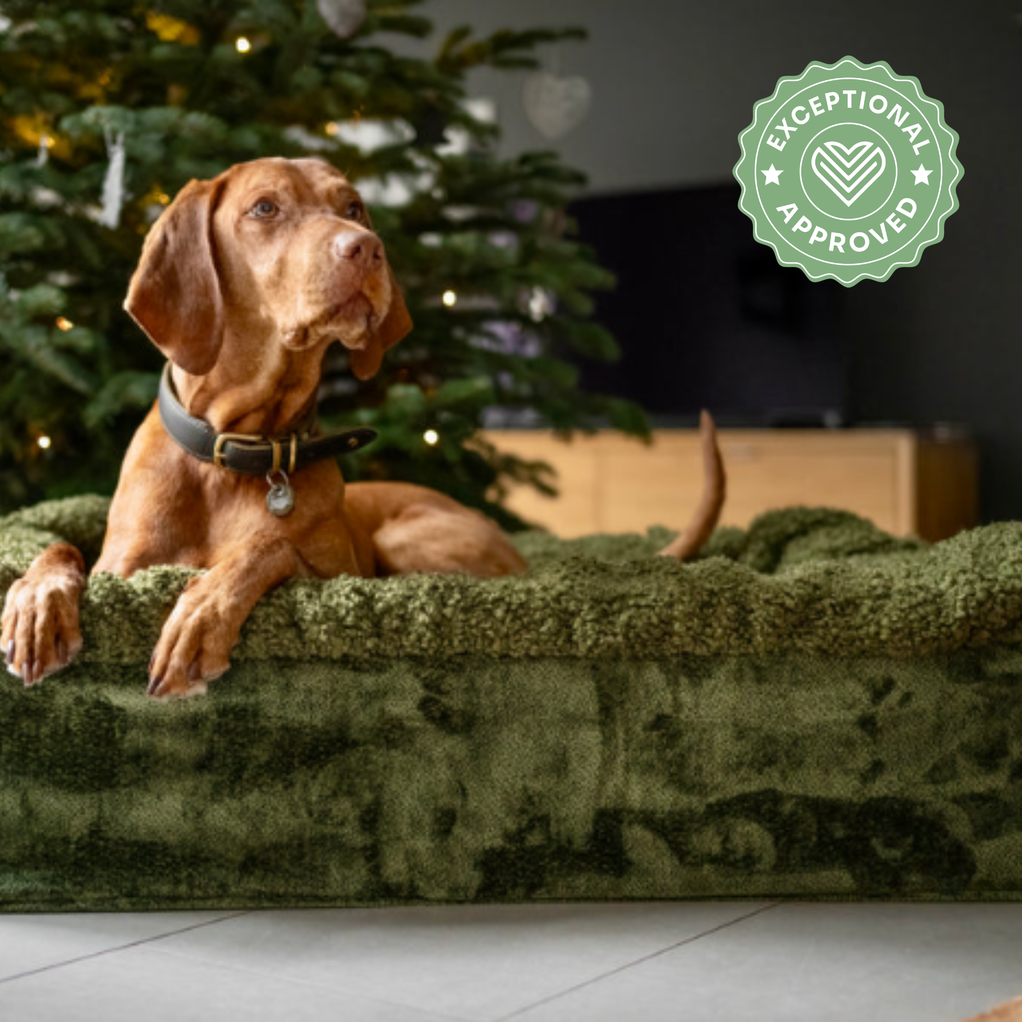 Hundebett Buddelbox Grün