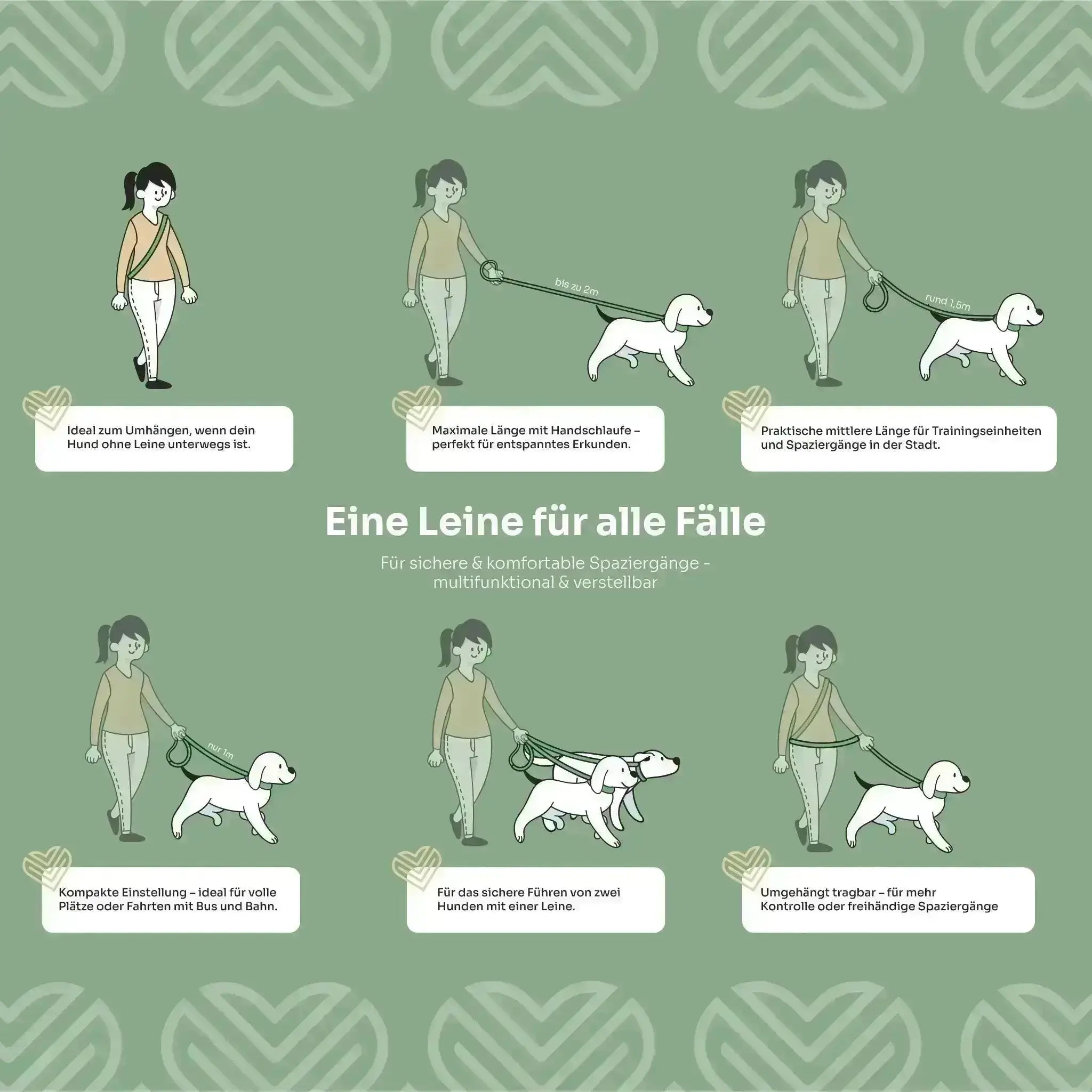 Hundeleine aus BiothaneÂź small Exceptional - Manufaktur mit Herz