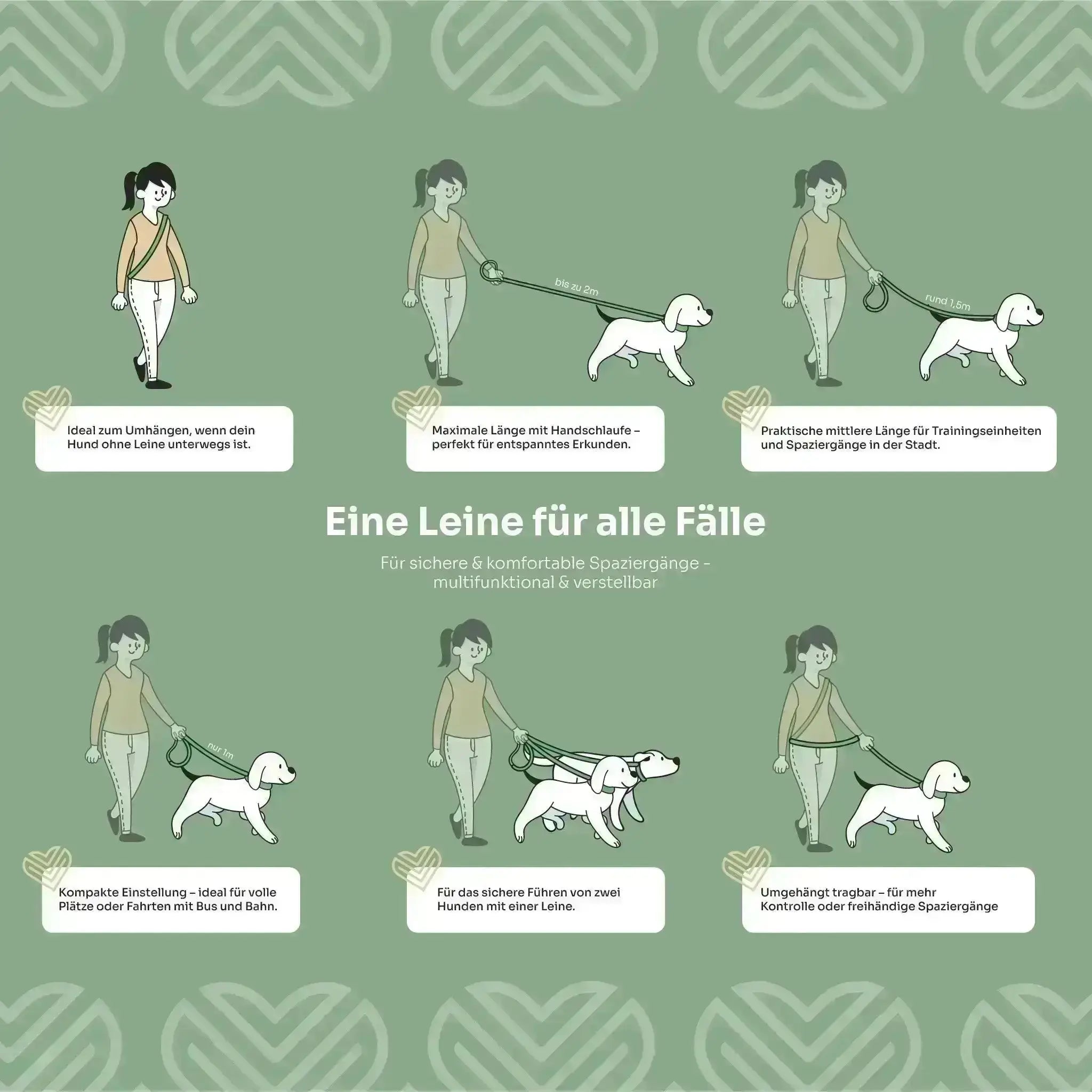 Hundeleine aus BiothaneÂź small Exceptional - Manufaktur mit Herz