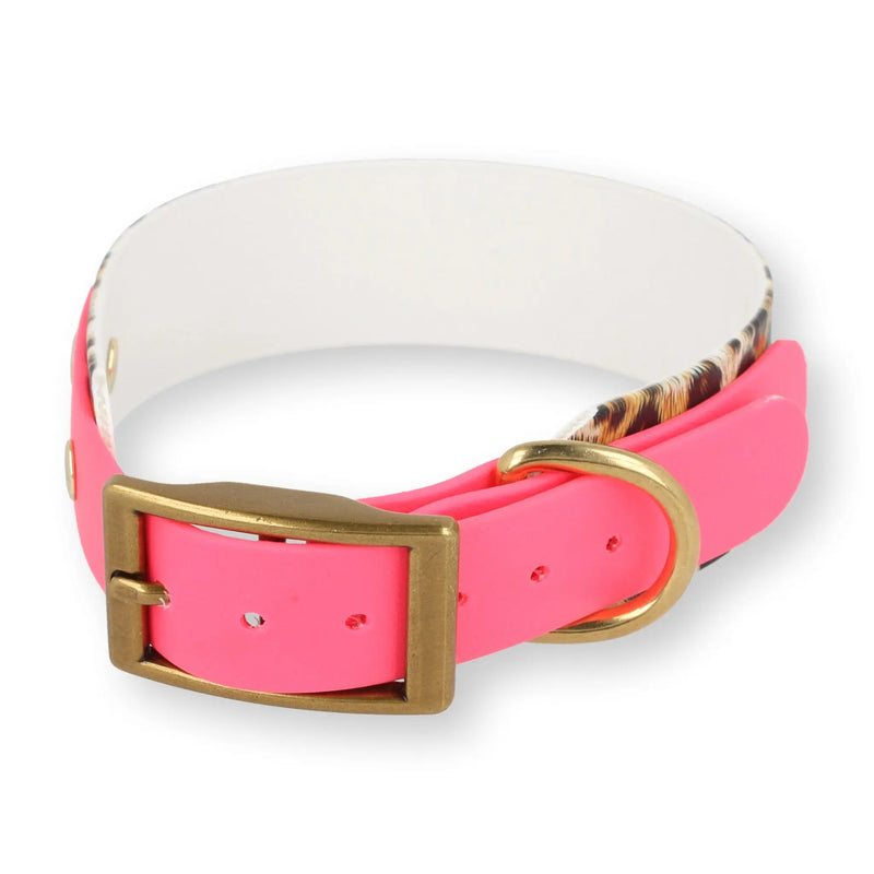 BioThane Hundehalsband 'WILD GLOW' Leo-Edition – limitiert, Exceptional Manufaktur (Bild 2)