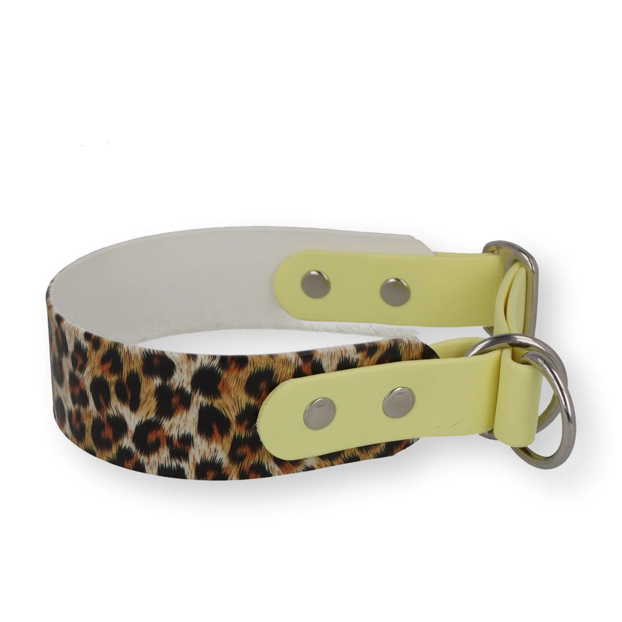 Zugstopp-Halsband – WILD GLOW Edition aus BioThane® (limitiert) Exceptional - Manufaktur mit Herz