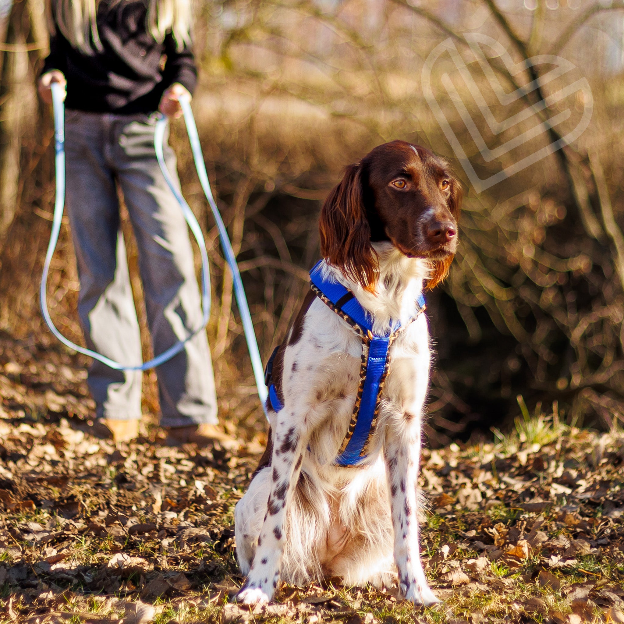 Hundegeschirr Soft "Leo"