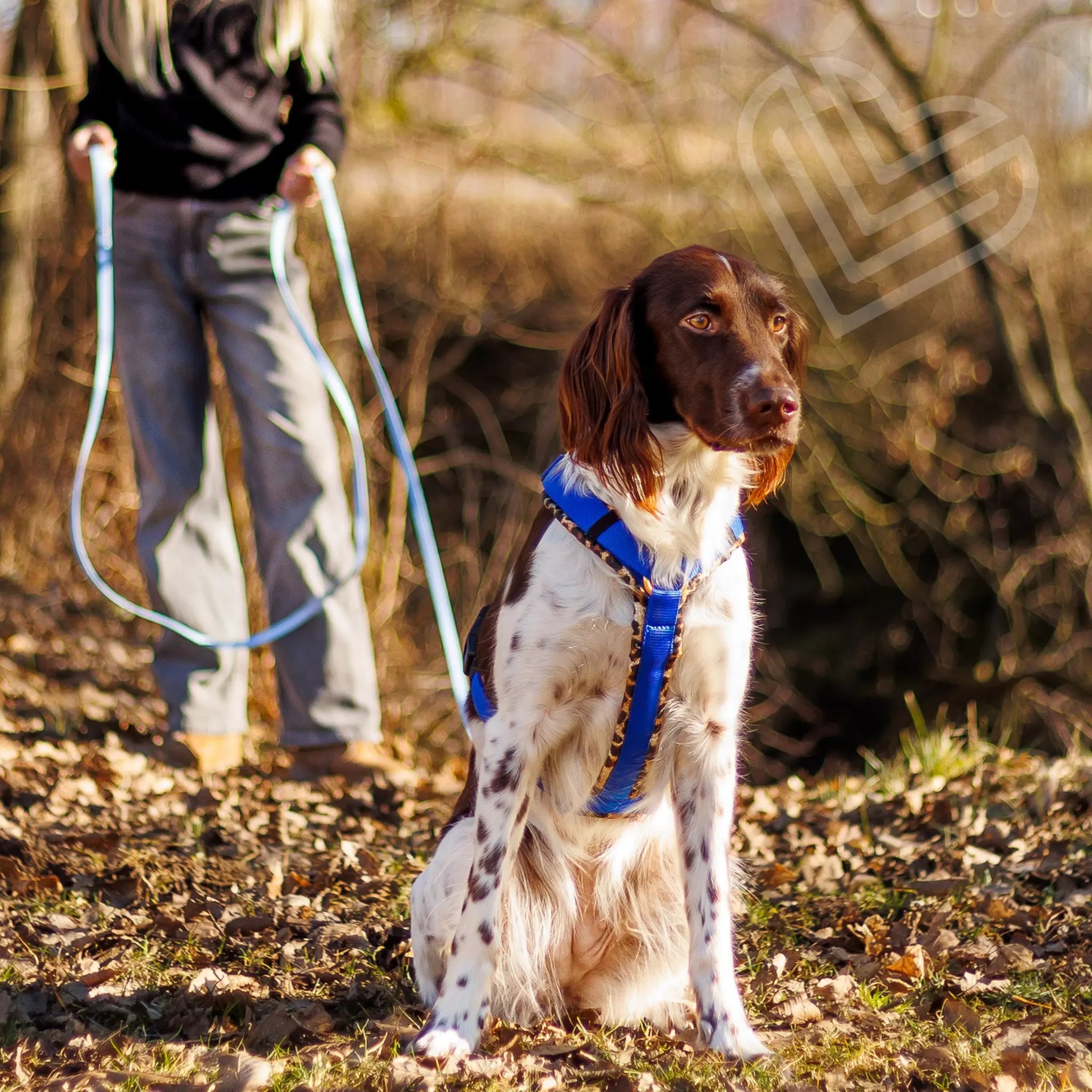 Hundegeschirr Soft "Leo" Exceptional - Manufaktur mit Herz