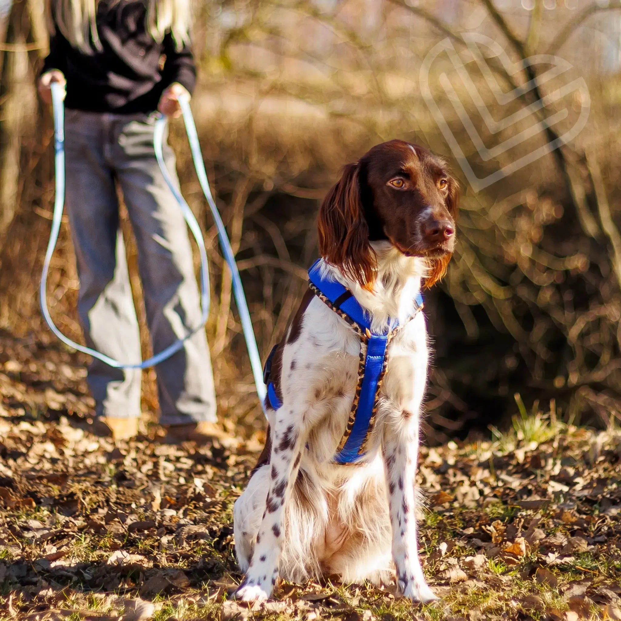 Hundegeschirr Soft "Leo" Exceptional - Manufaktur mit Herz