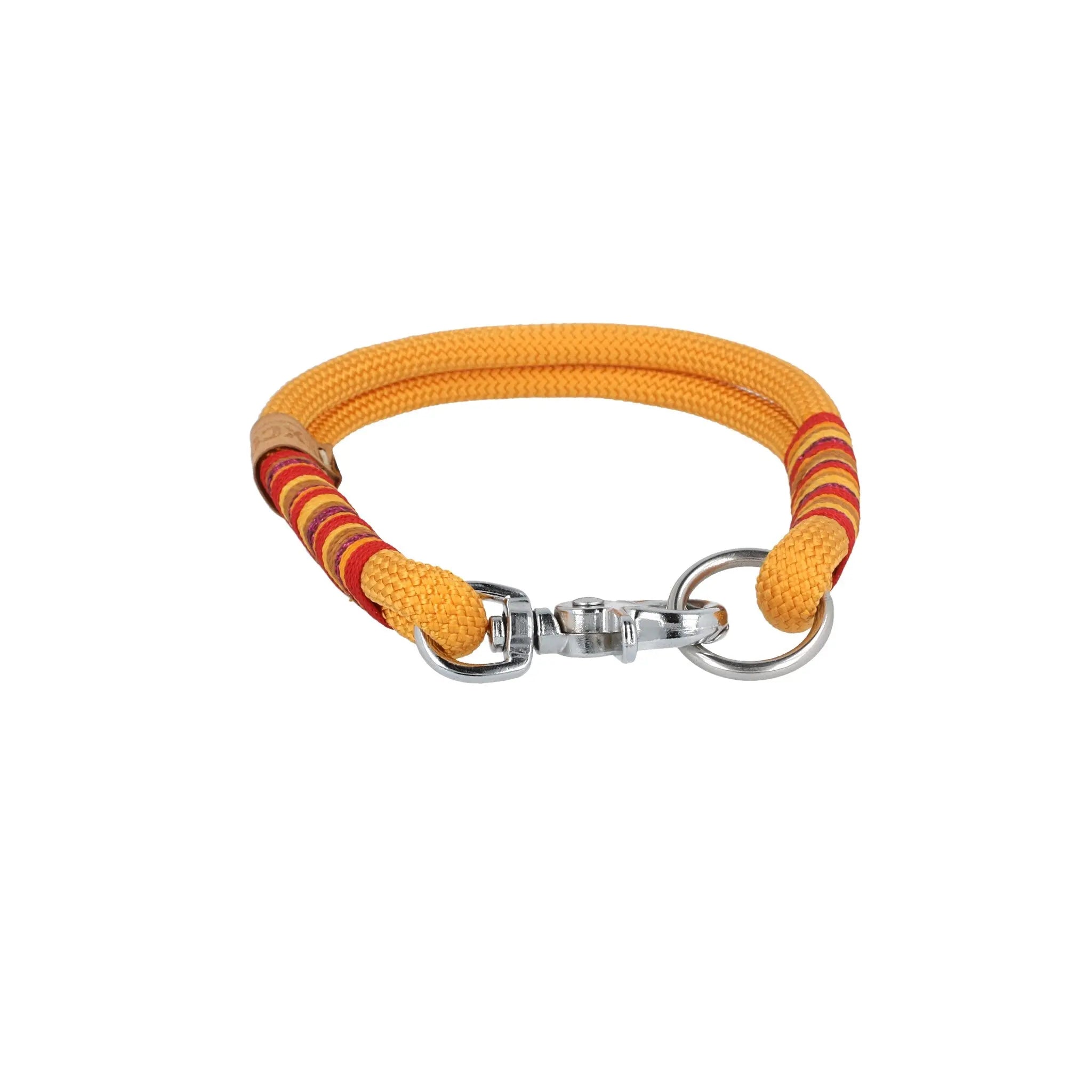 Set | Tauhalsband und Leine 'Sunkissed Shells' Exceptional - Manufaktur mit Herz