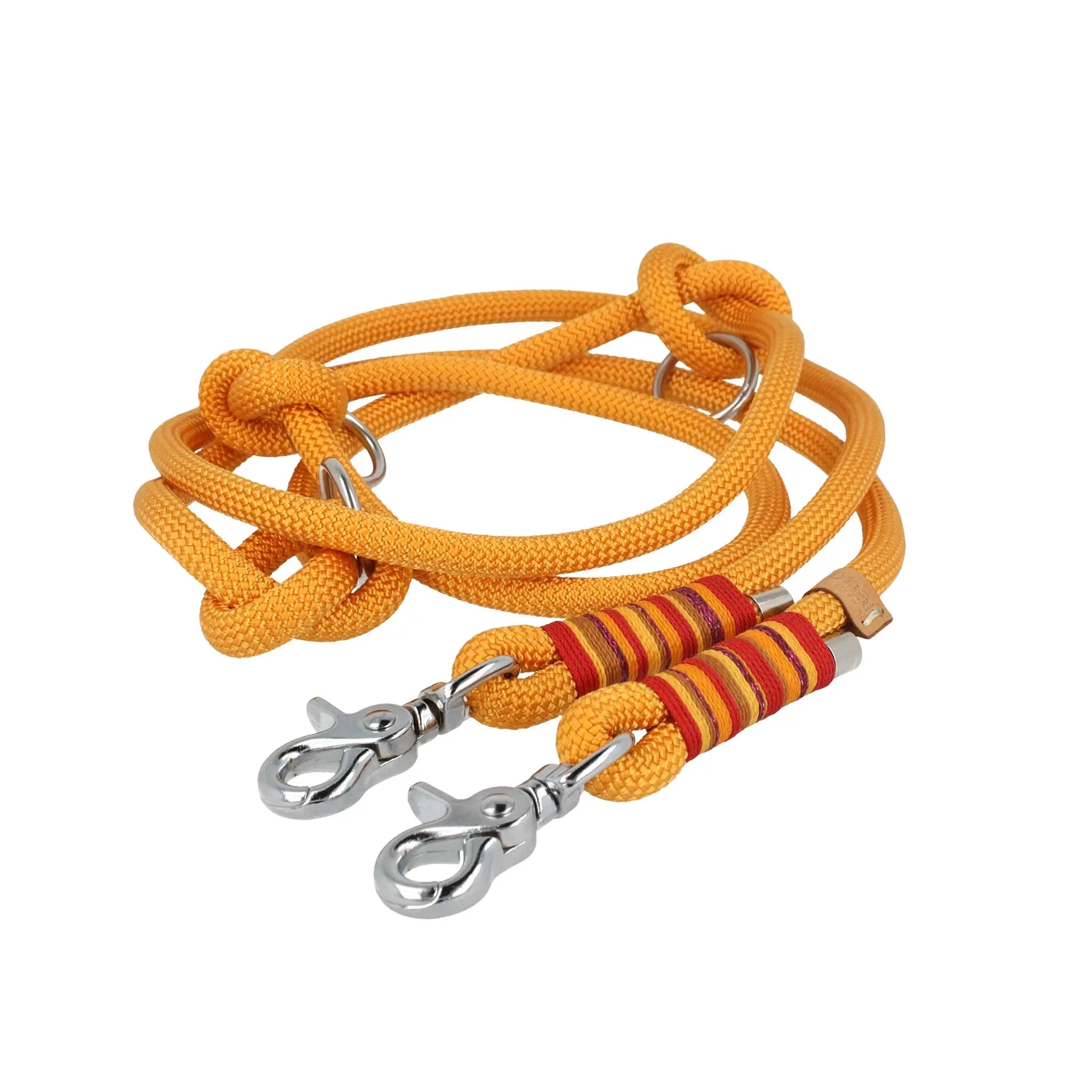 Set | Tauhalsband und Leine 'Sunkissed Shells' Exceptional - Manufaktur mit Herz