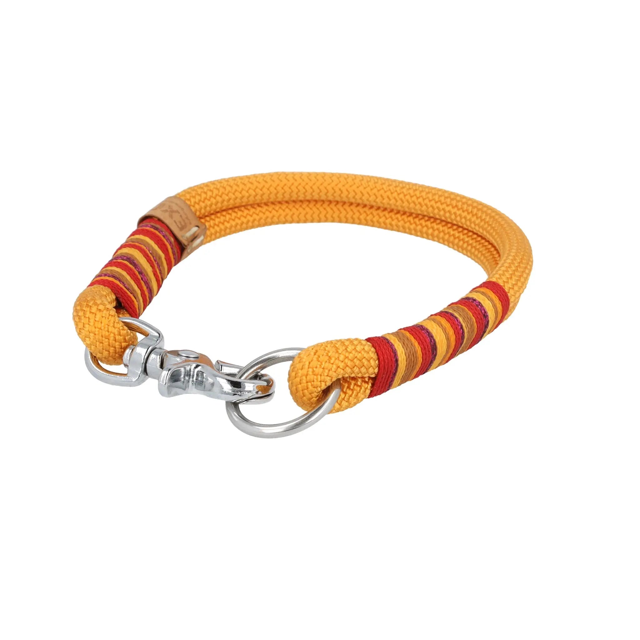 Set | Tauhalsband und Leine 'Sunkissed Shells' Exceptional - Manufaktur mit Herz