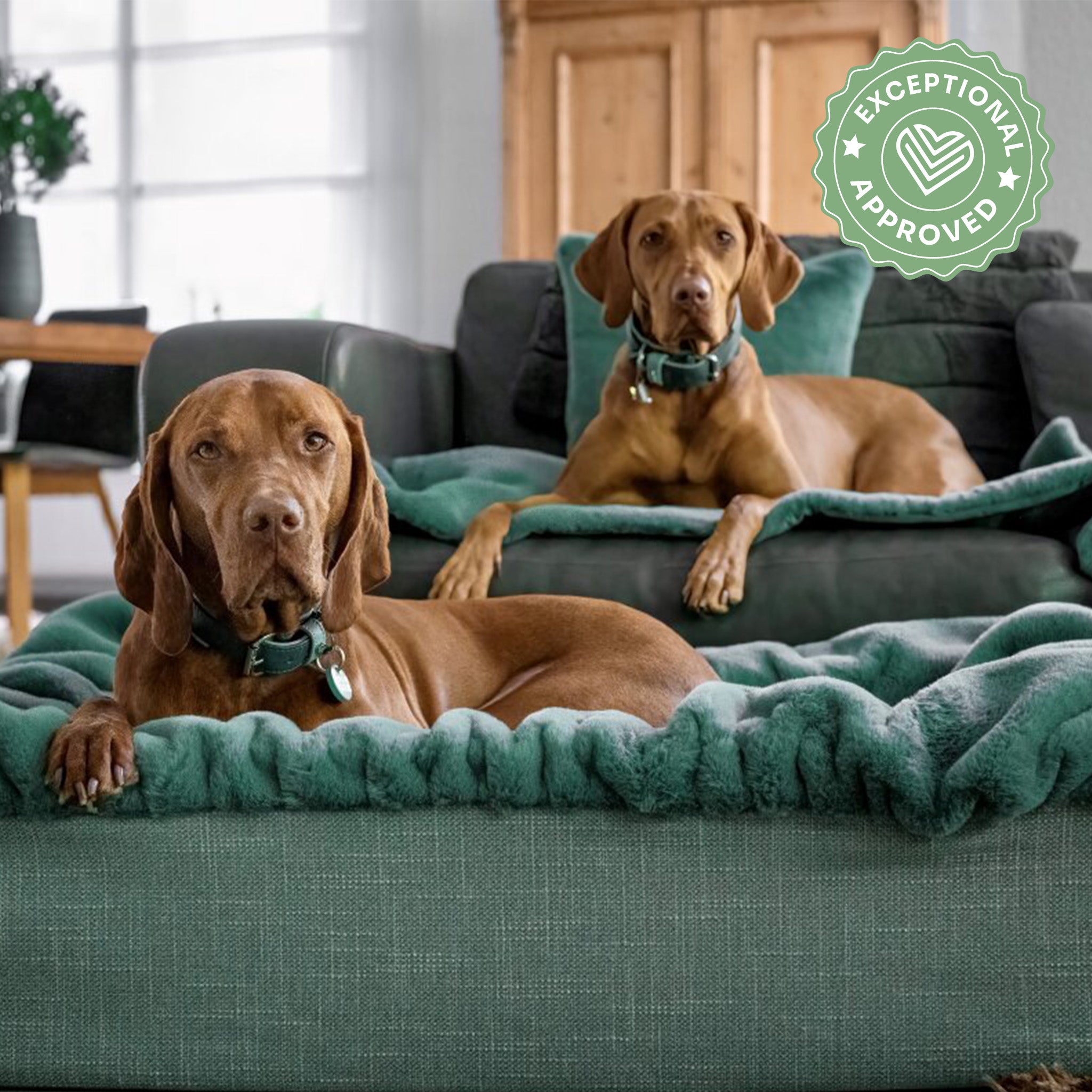 Hundebett Buddelbox Mintgrün