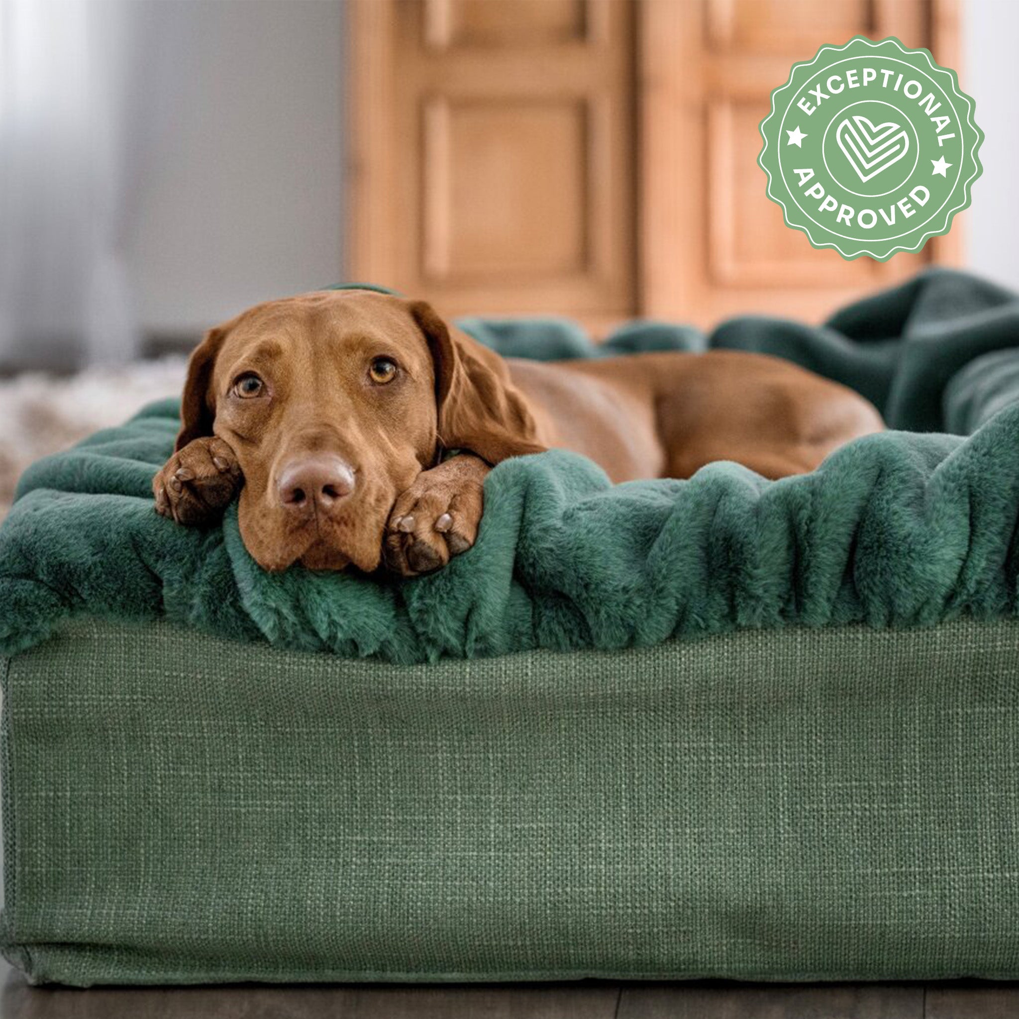 Hundebett Buddelbox Mintgrün