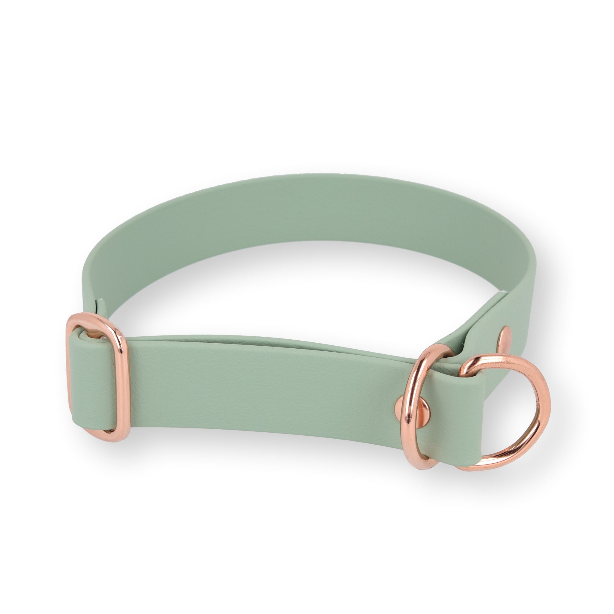 Zugstopp-Halsband aus BioThane®