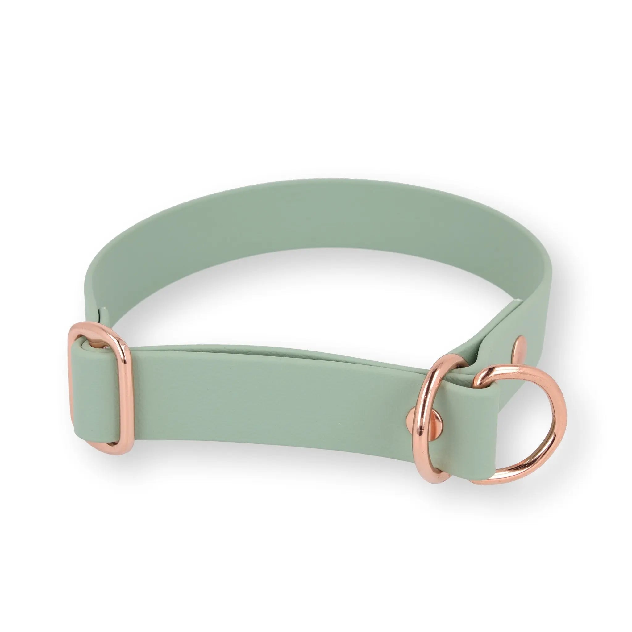 Zugstopp-Halsband aus BioThane® Exceptional - Manufaktur mit Herz
