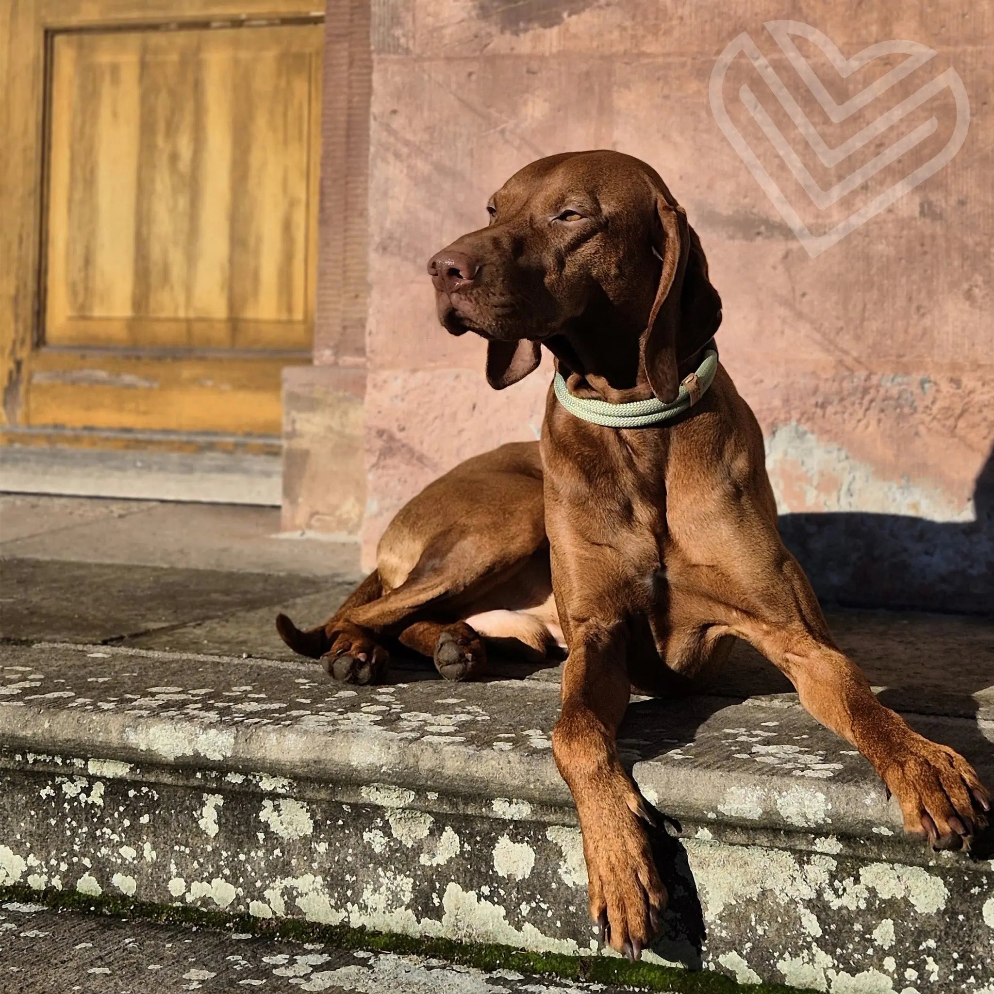 Tauhalsband 'Pistachio Grace' Exceptional - Manufaktur mit Herz