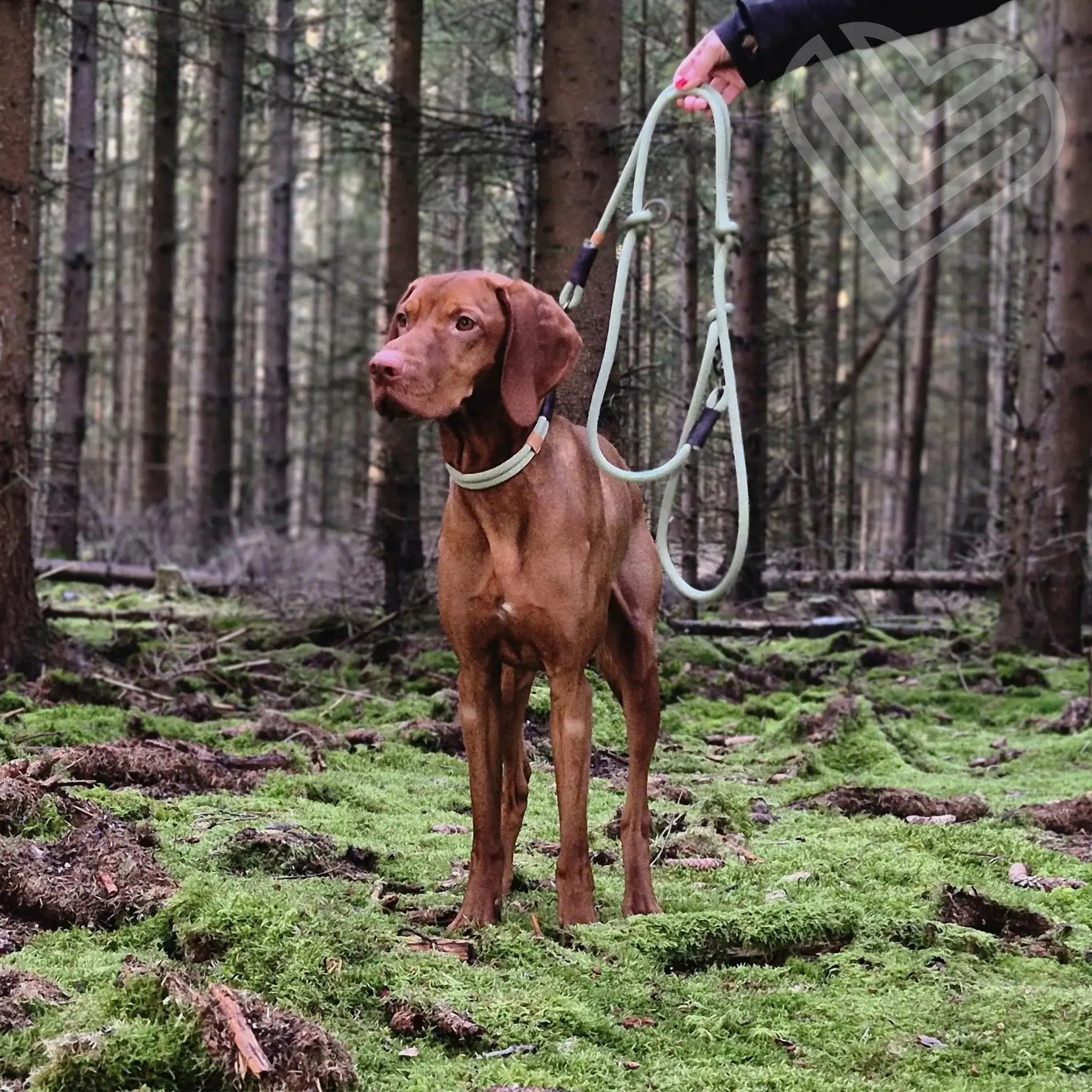 Tauleine 'Pistachio Grace' Exceptional - Manufaktur mit Herz