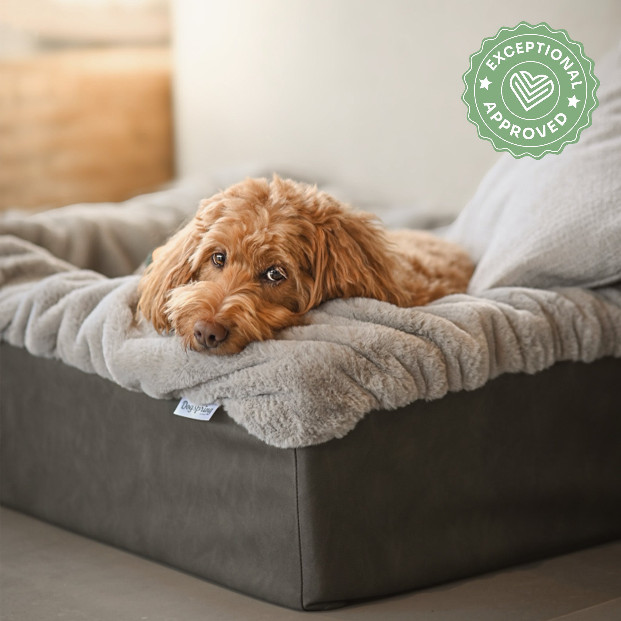 Hundebett Buddelbox Steingrau