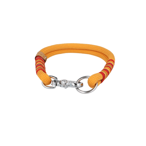 Tauhalsband 'Sunkissed Shells' Exceptional - Manufaktur mit Herz