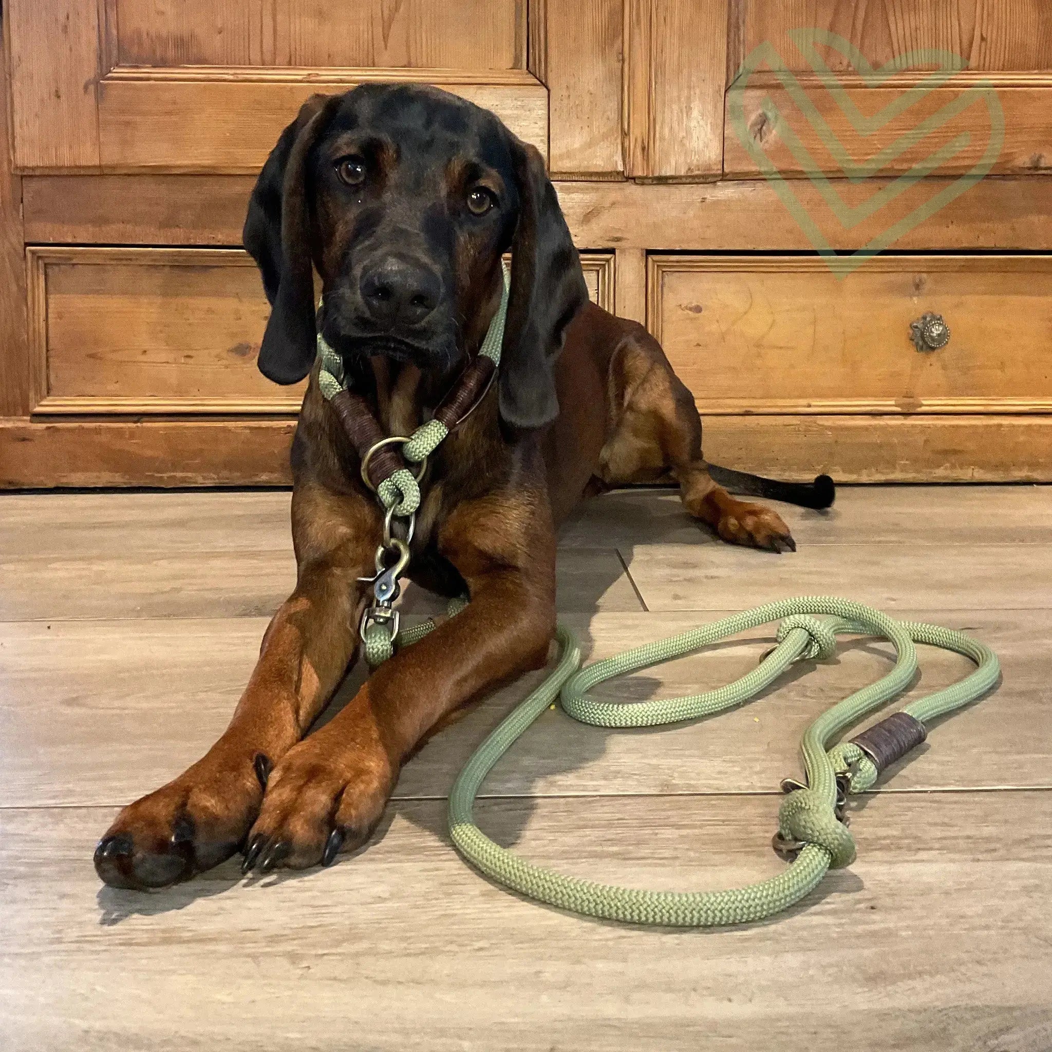 Zugstopp-Halsband aus Tau 'Pistachio Grace' Exceptional - Manufaktur mit Herz