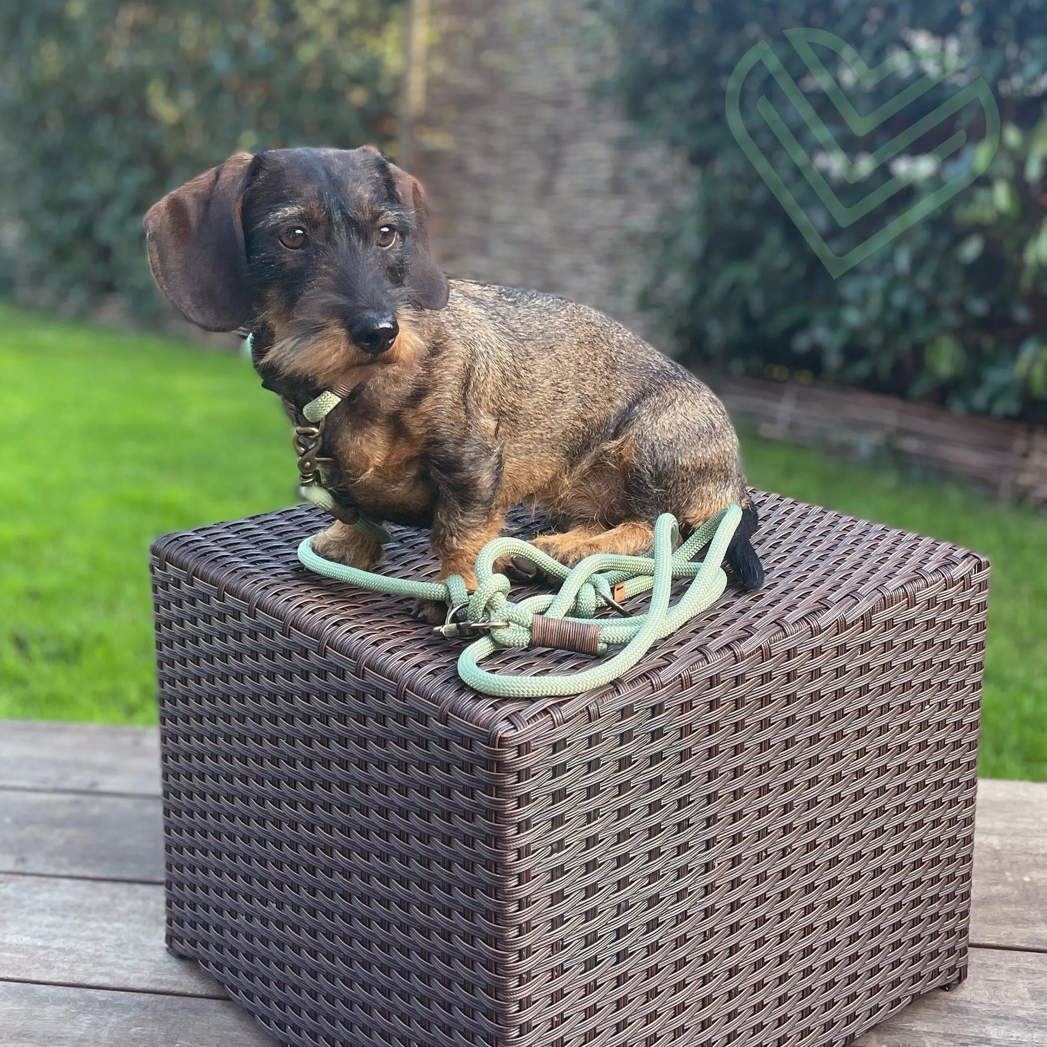 Tauleine 'Pistachio Grace' Exceptional - Manufaktur mit Herz