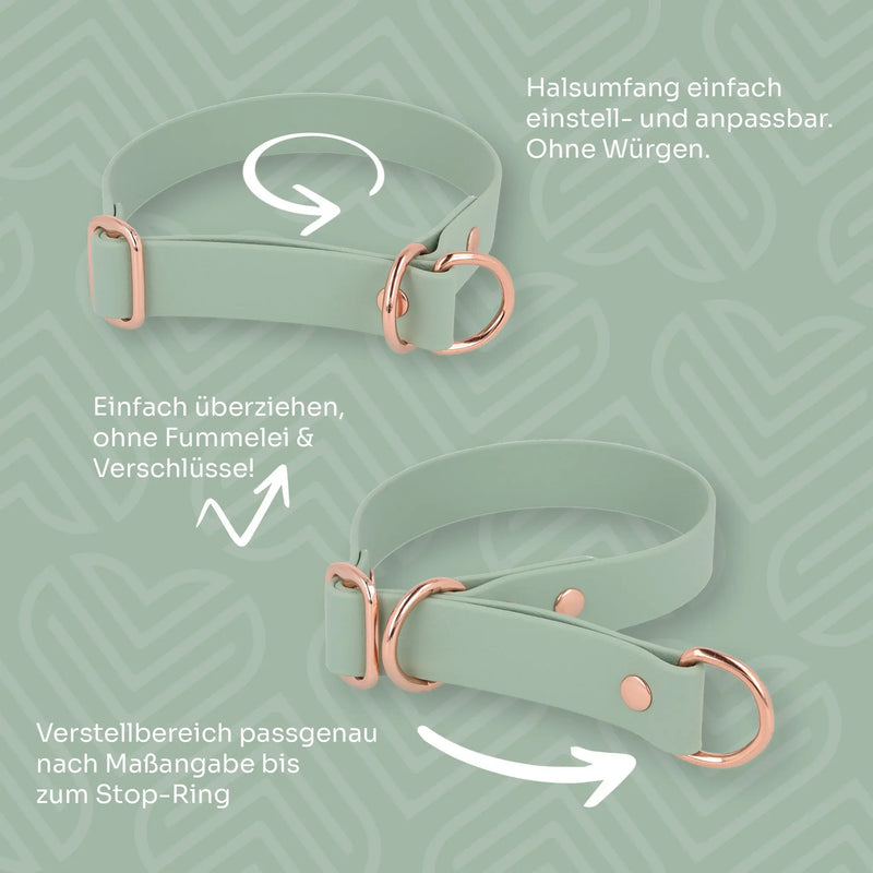 Zugstopp-Halsband aus BioThane – Detailansicht des Zugstopps und der Beschläge, Exceptional
