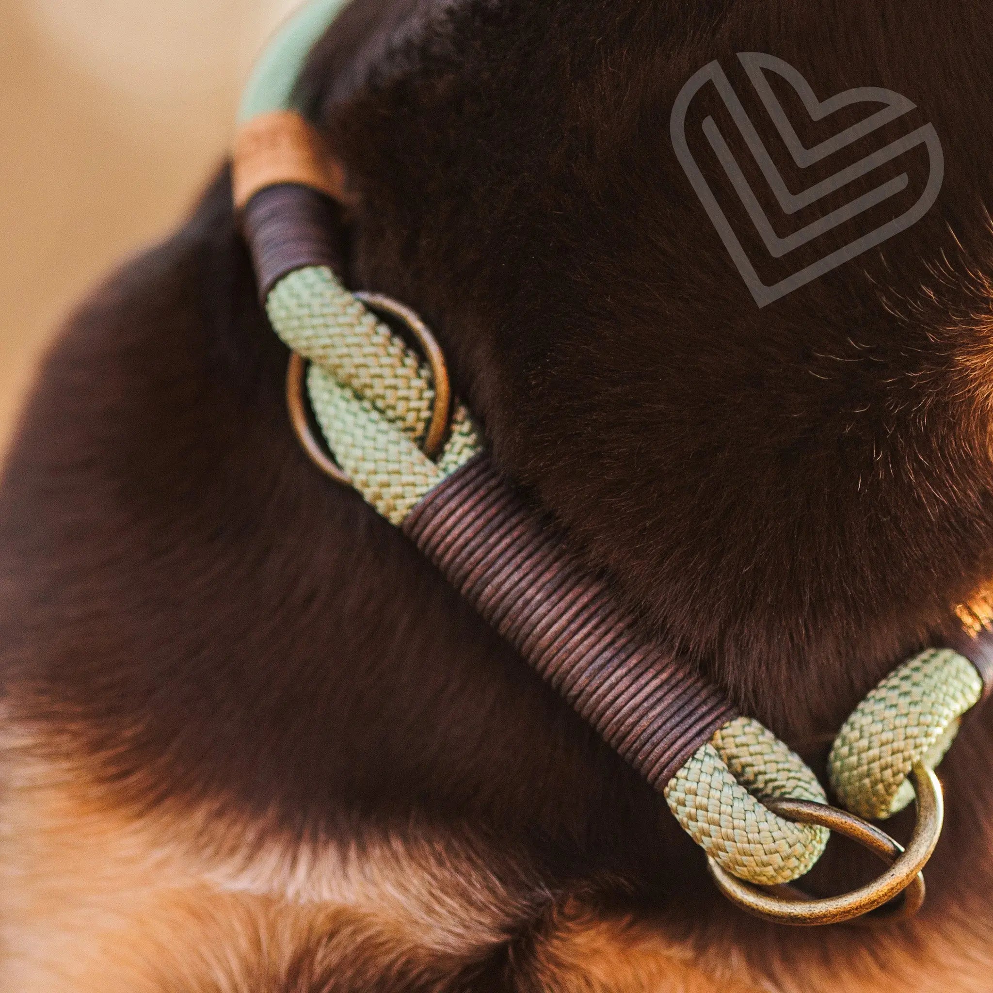 Zugstopp-Halsband aus Tau 'Pistachio Grace' Exceptional - Manufaktur mit Herz