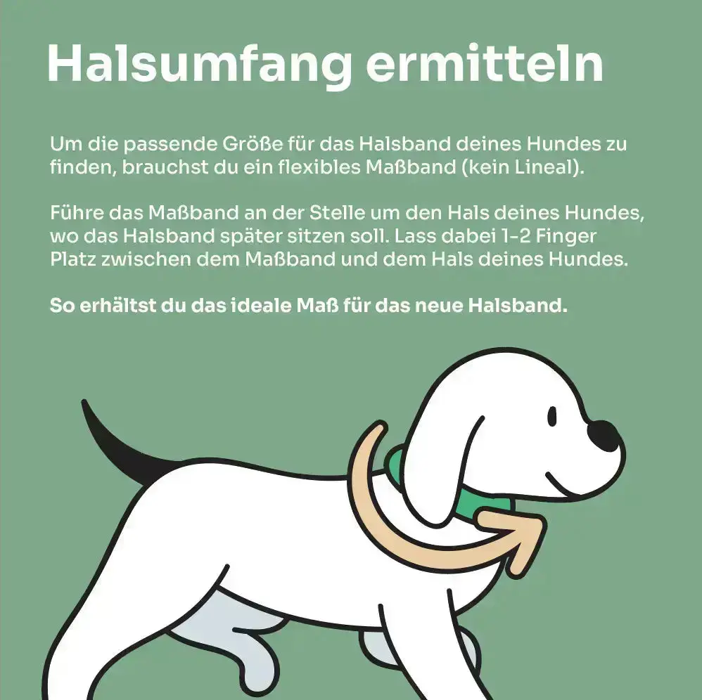 Tauhalsband small 'Pistachio Grace' Exceptional - Manufaktur mit Herz