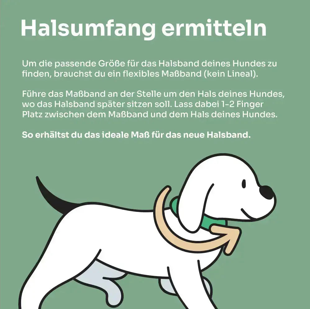 Set | Tauhalsband und Leine 'Forest Rose' Exceptional - Manufaktur mit Herz