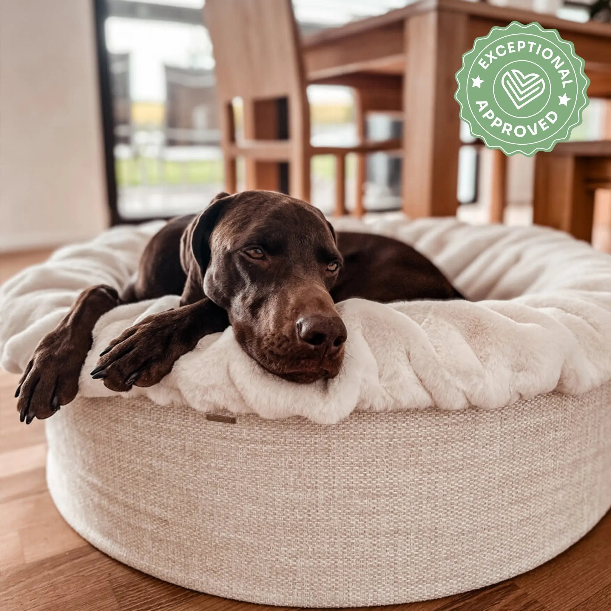 Hundebett Buddelnest Malibu Exceptional - Manufaktur mit Herz