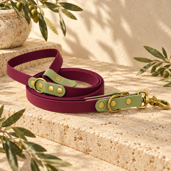 BioThane® Hundeleine 'Château Verde'