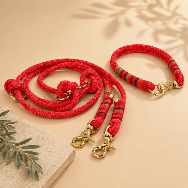 Set | Tauhalsband und Tauleine 'Coral Crush'