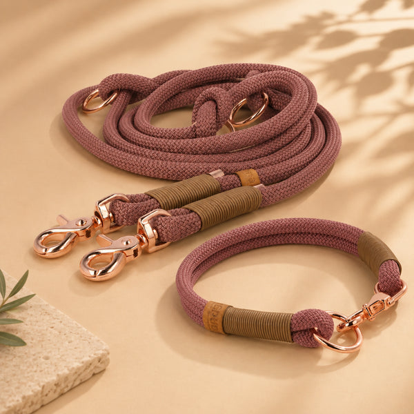 Set | Tauhalsband und Tauleine 'Luxe Amour'