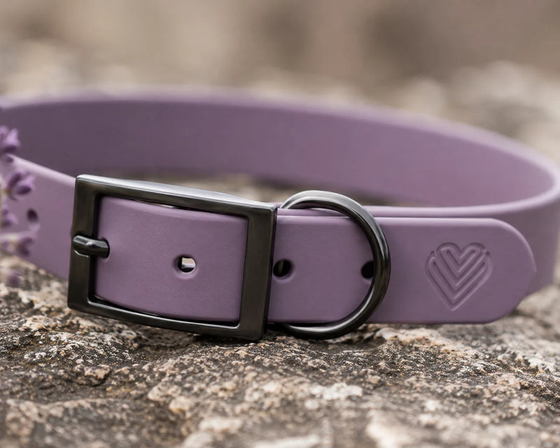 BioThane® Halsband
