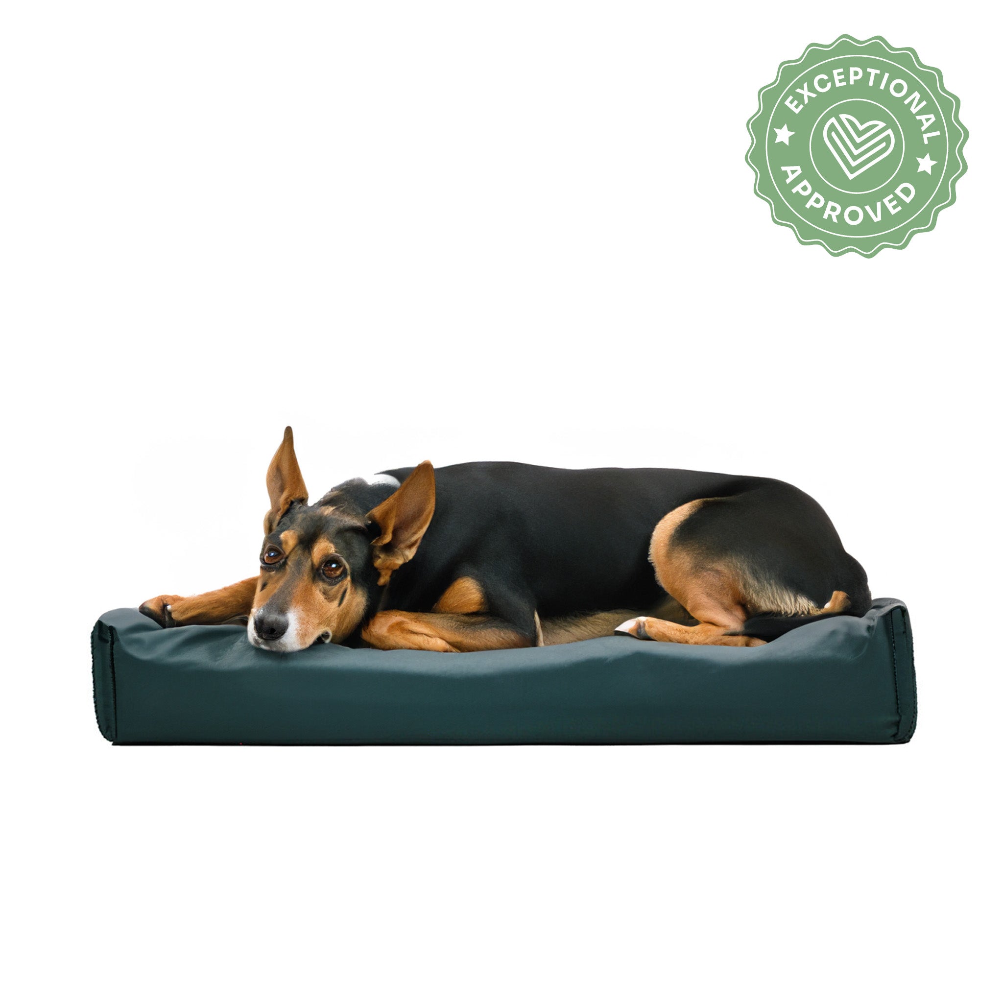 Hundebett RelaxPad Snooze