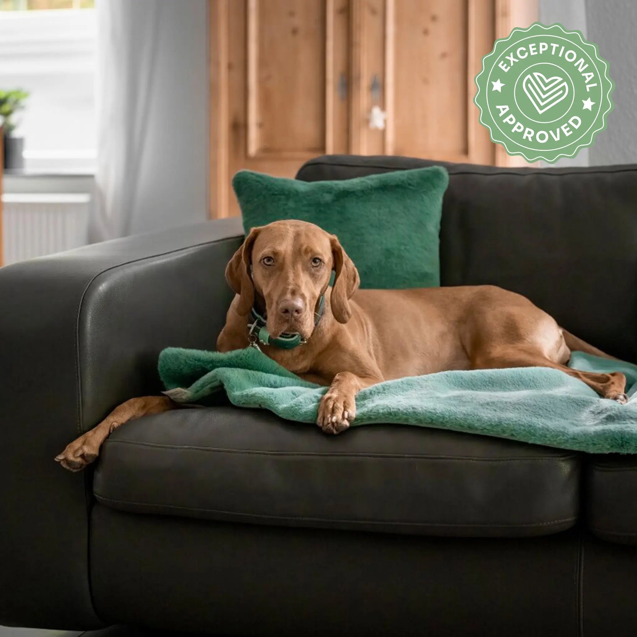 Hundedecke Pemba Exceptional - Manufaktur mit Herz