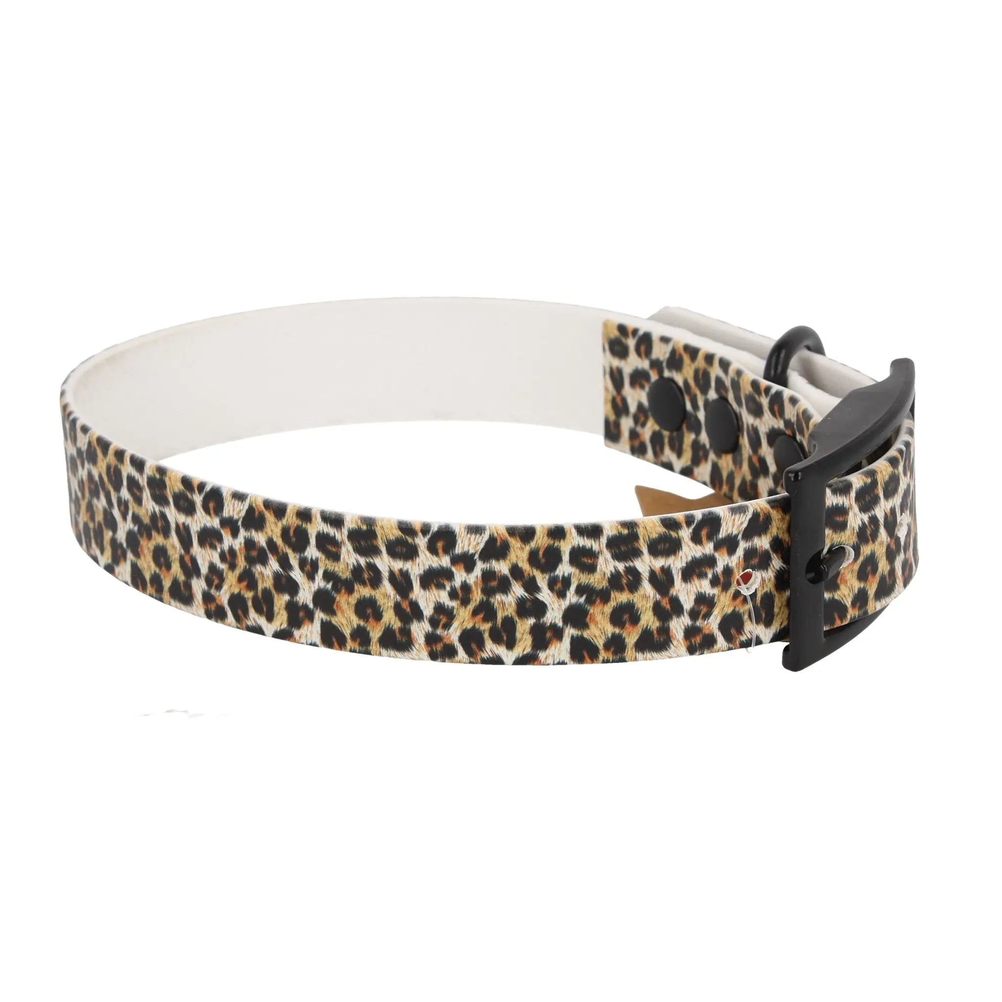 BioThane Halsband | 33-41 cm |'Leo' Exceptional - Manufaktur mit Herz