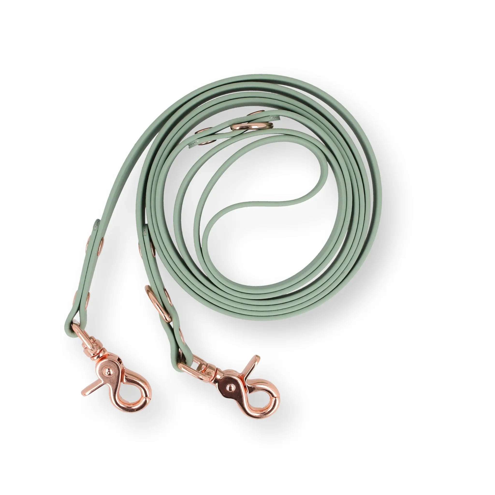 Hundeleine aus Biothane® Exceptional - Manufaktur mit Herz