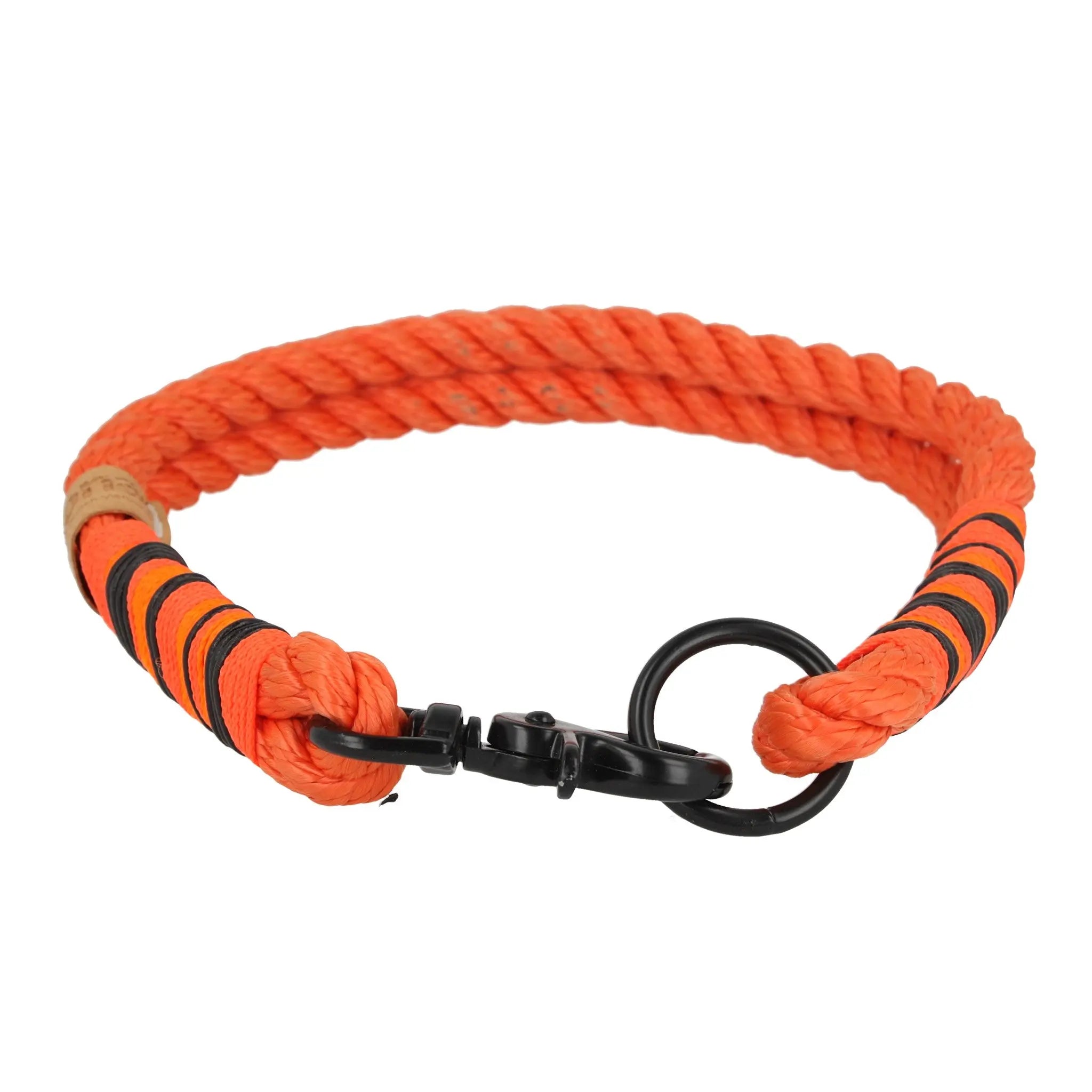 Tauhalsband 44|45,5cm 'Orange Curl' Exceptional - Manufaktur mit Herz