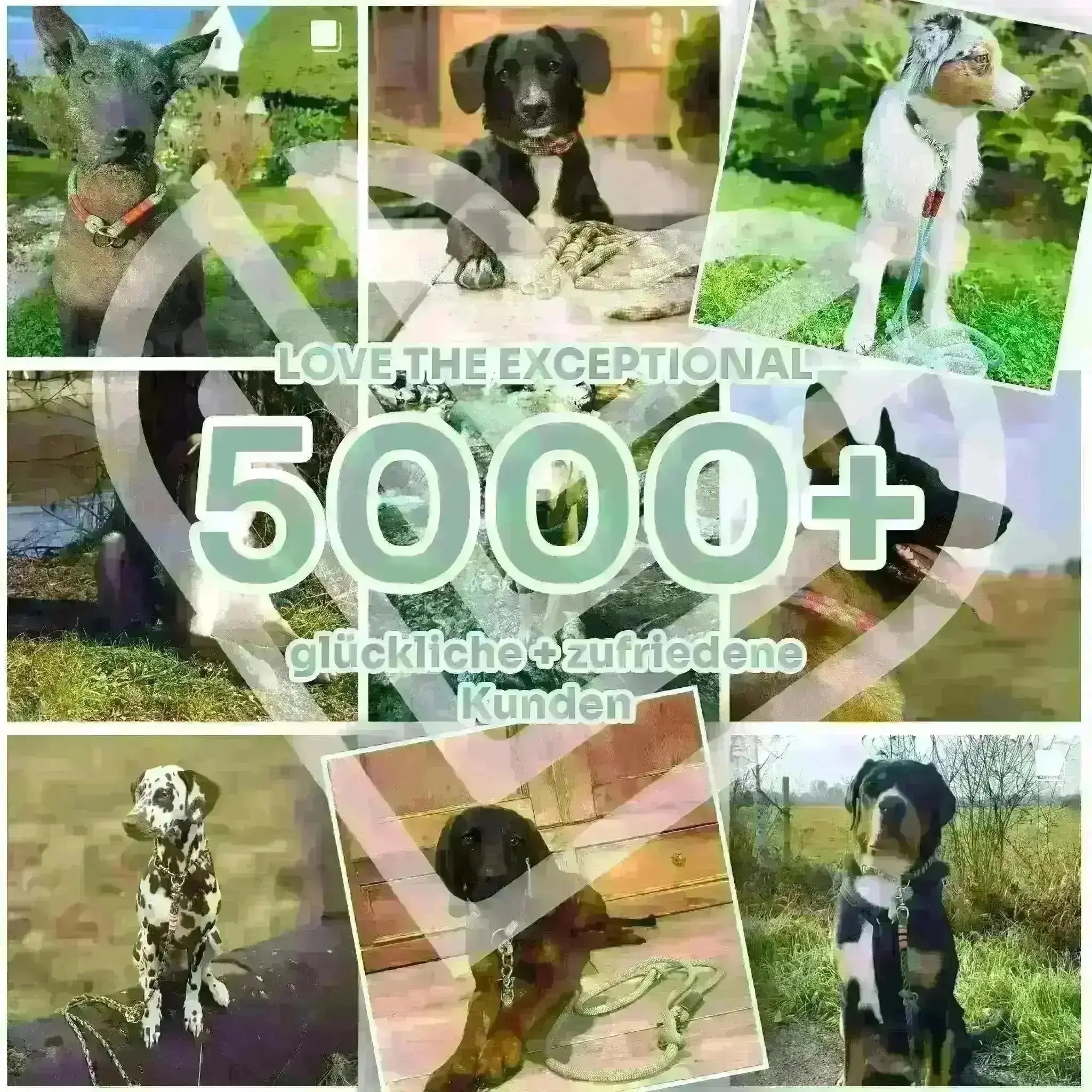 Tauhalsband 34.5|38|40|41|46,5 cm 'Marine Chic' Exceptional - Manufaktur mit Herz