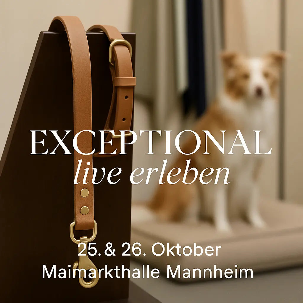 Rückblick: Exceptional auf der Mein Hund Messe Mannheim